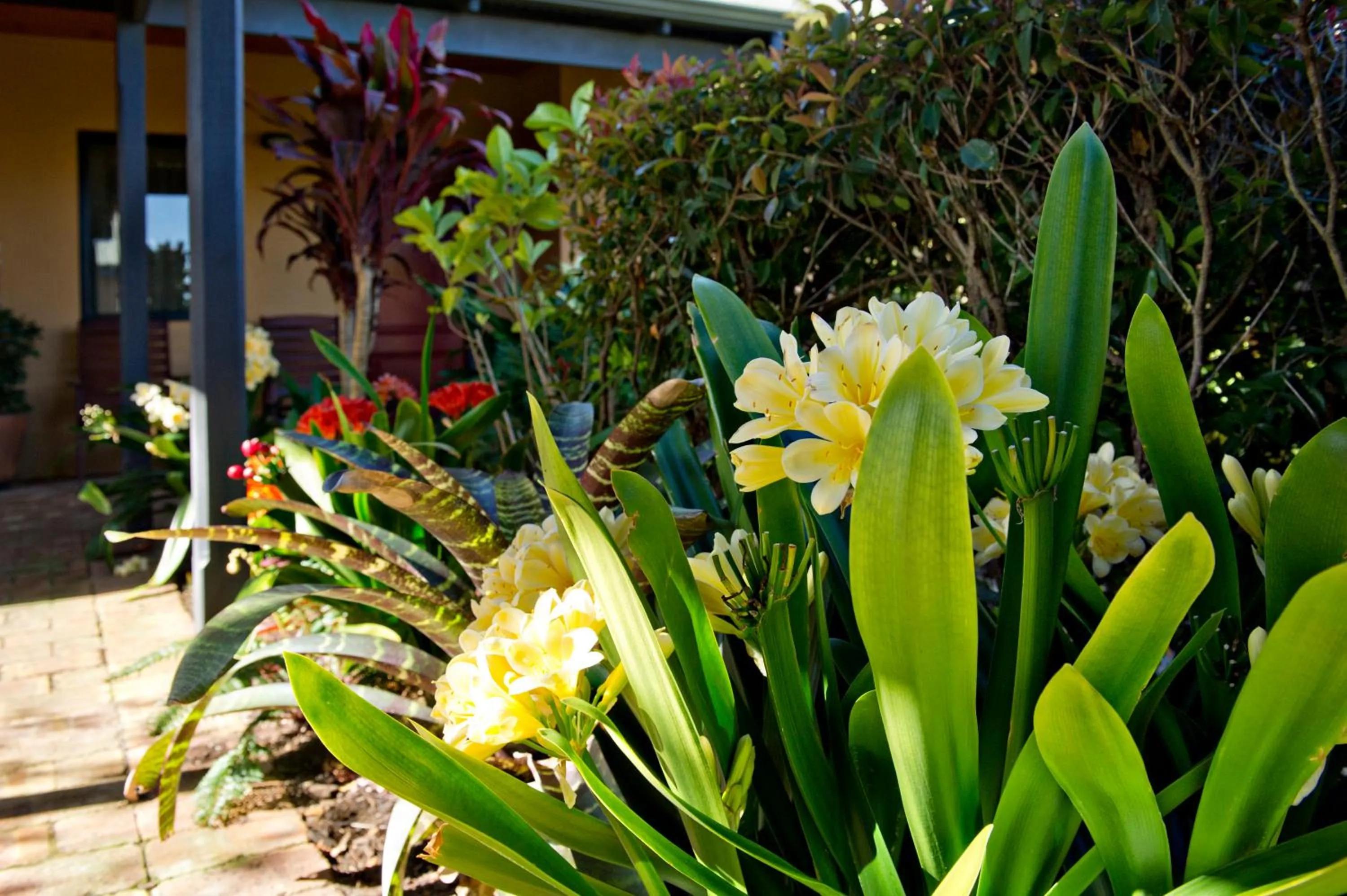 Garden in Vintages Accommodation