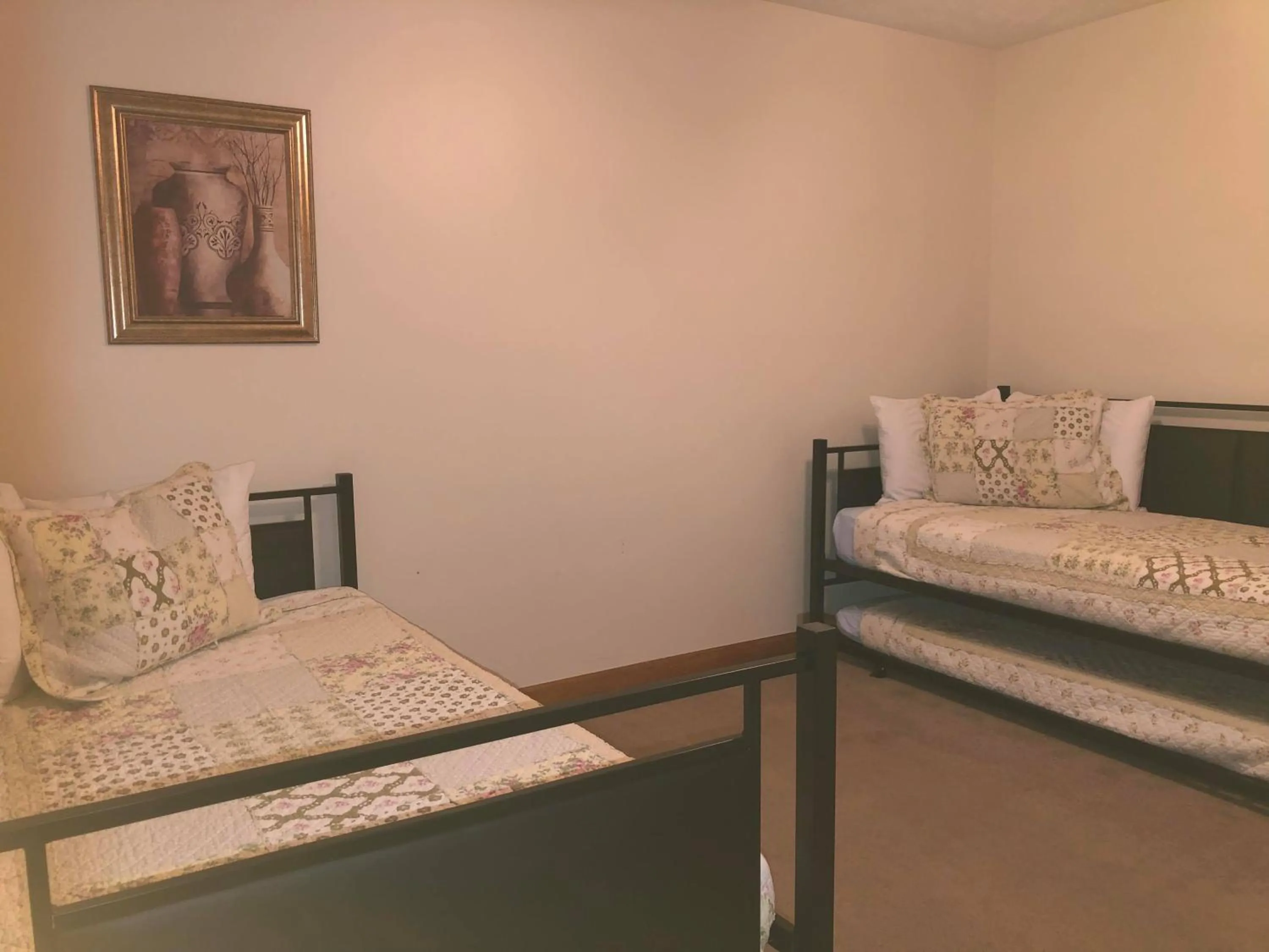 Bear Camp By The Night