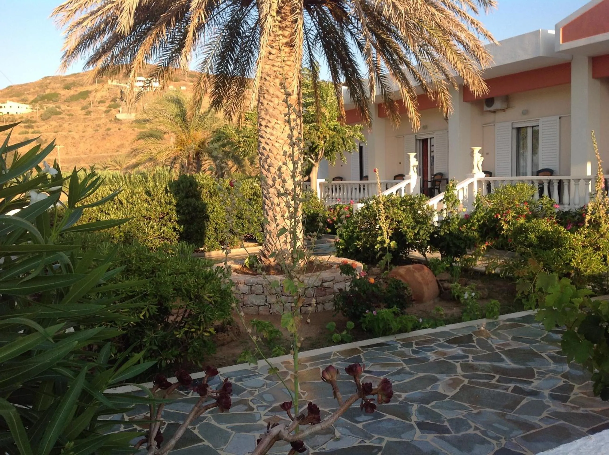 Garden in Hotel Petras Beach