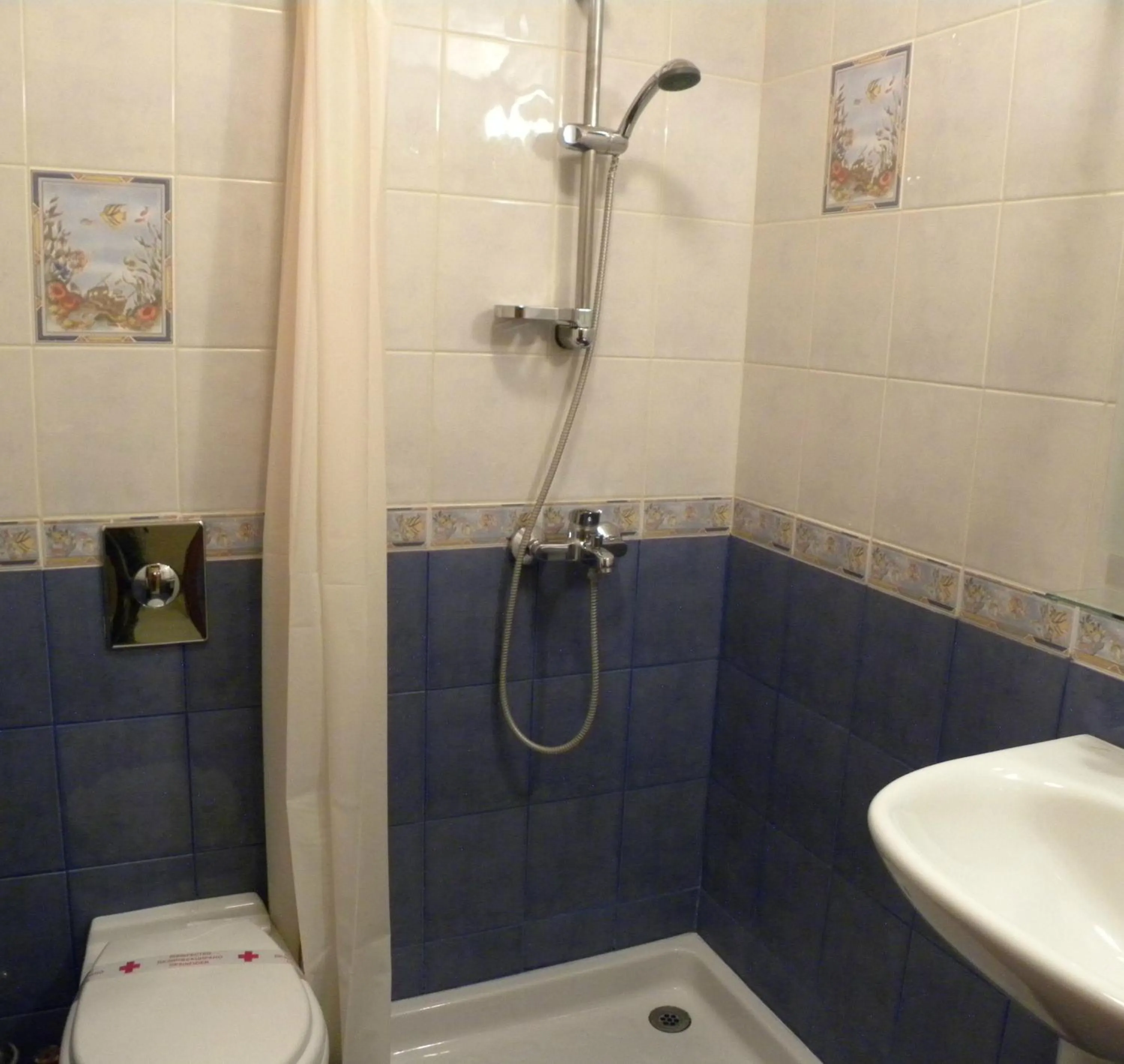 Shower in Three Dolphins Hotel with a Rooftop terracе