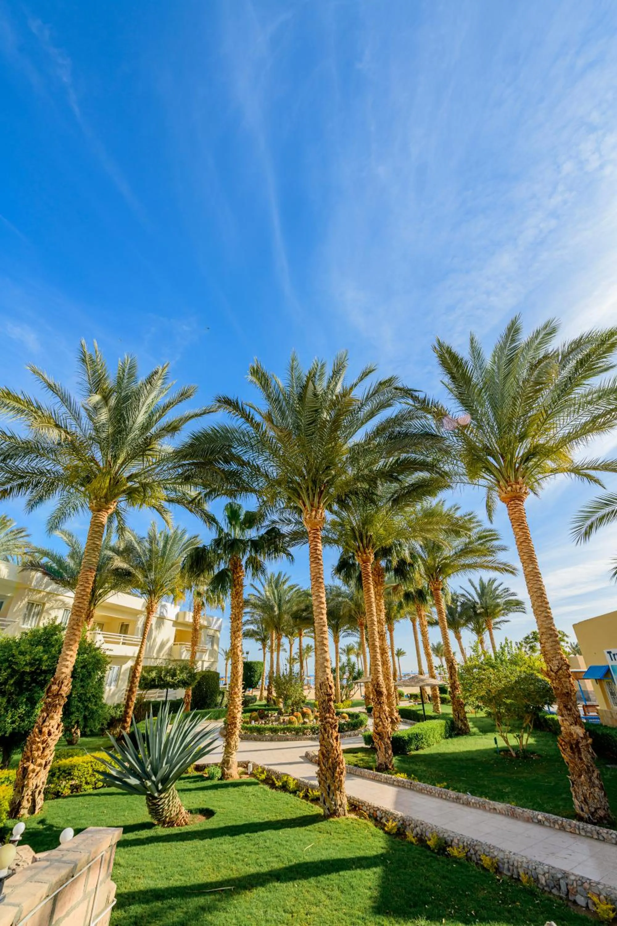 Natural landscape in Golden Beach Resort