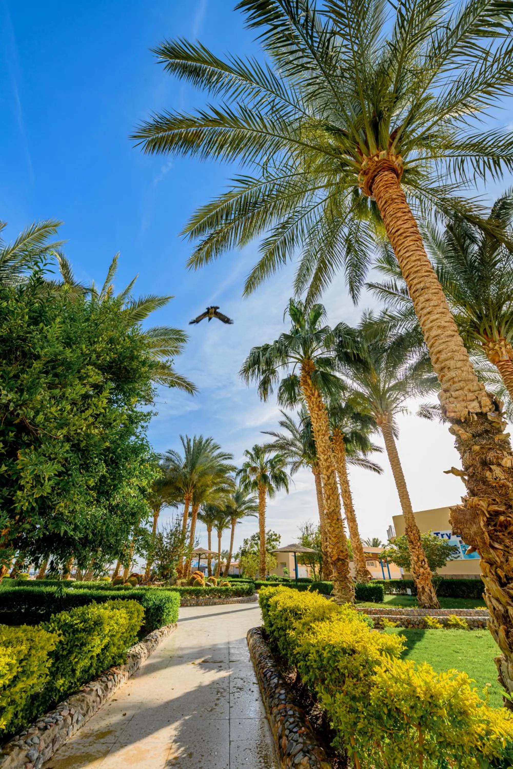 Day in Golden Beach Resort