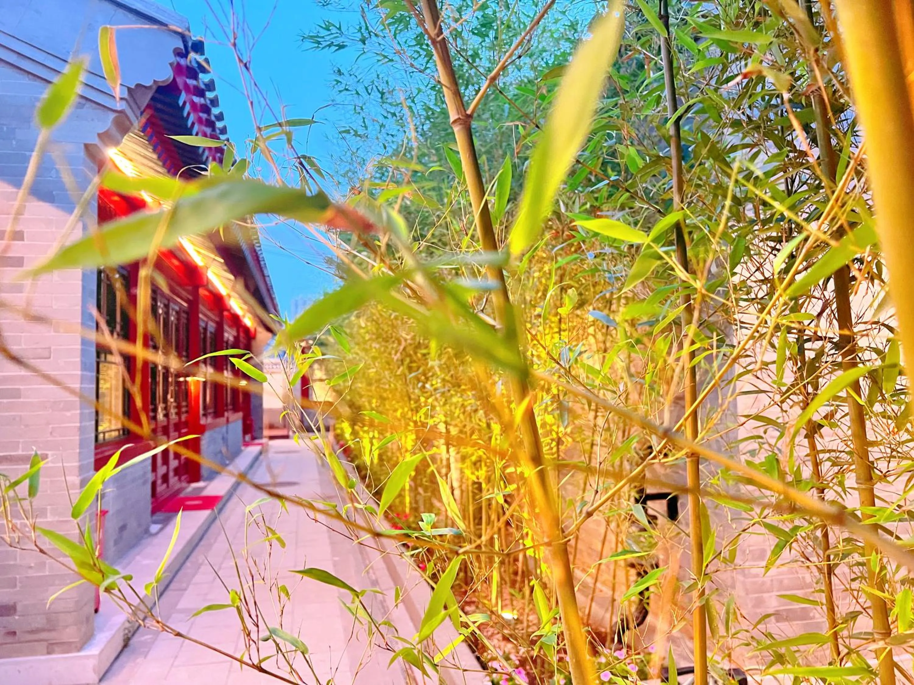 Garden view in Jingshan Garden Hotel