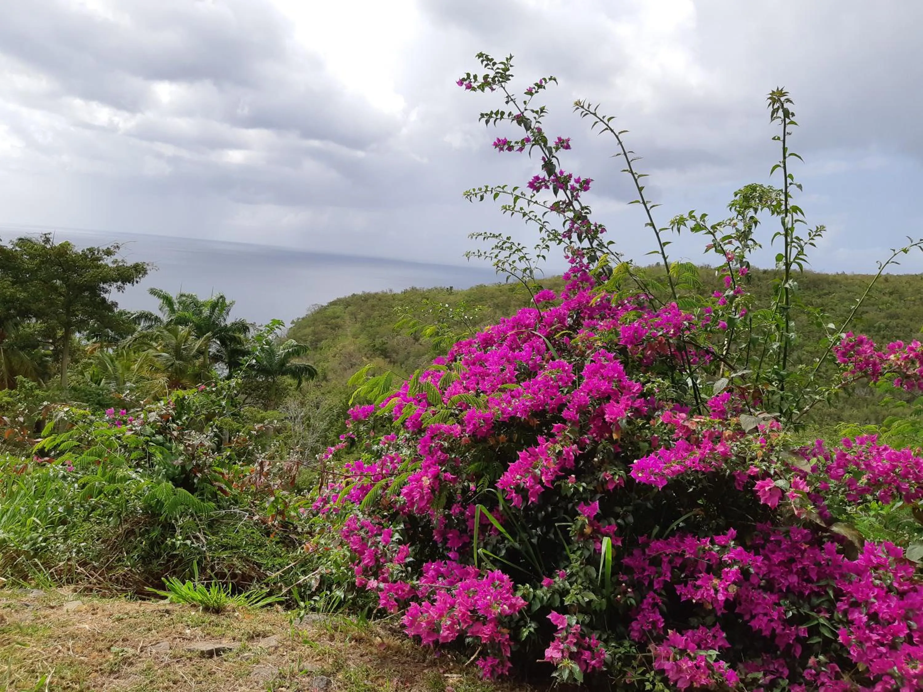 Sea view in Domaine Choco Vanille