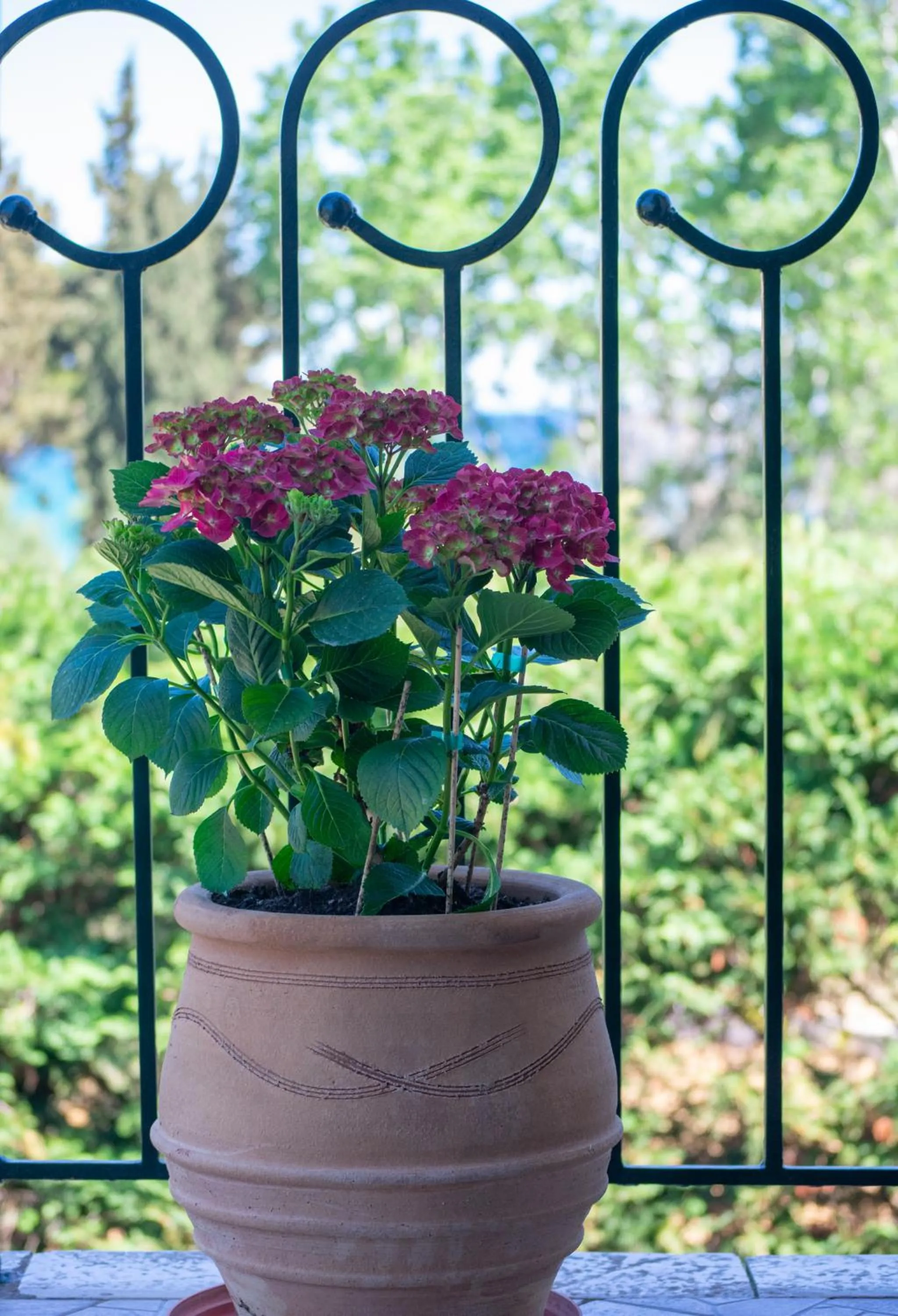 Balcony/Terrace in Ammos Zante Villas