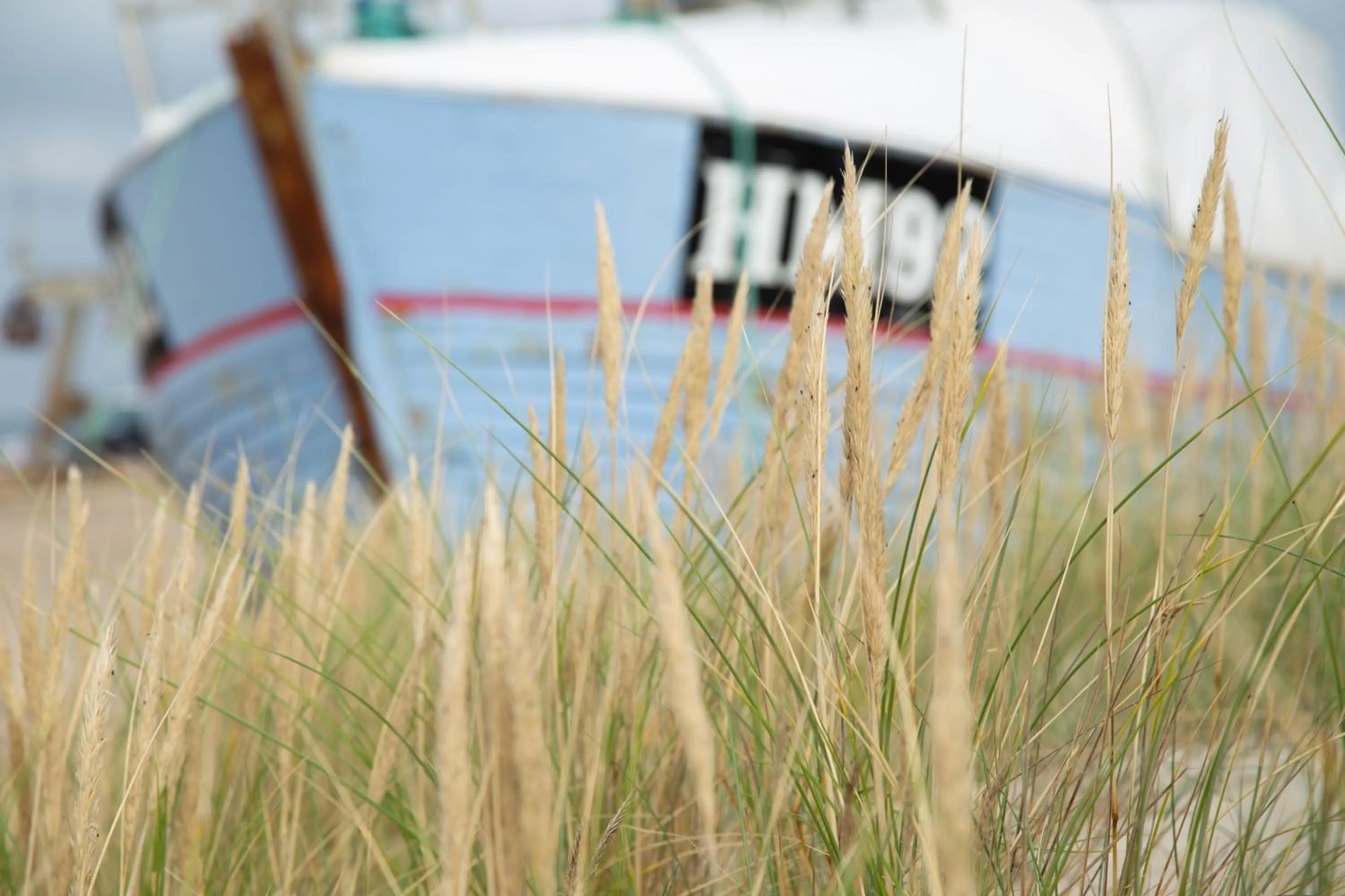 Natural landscape in Rønnes Hotel