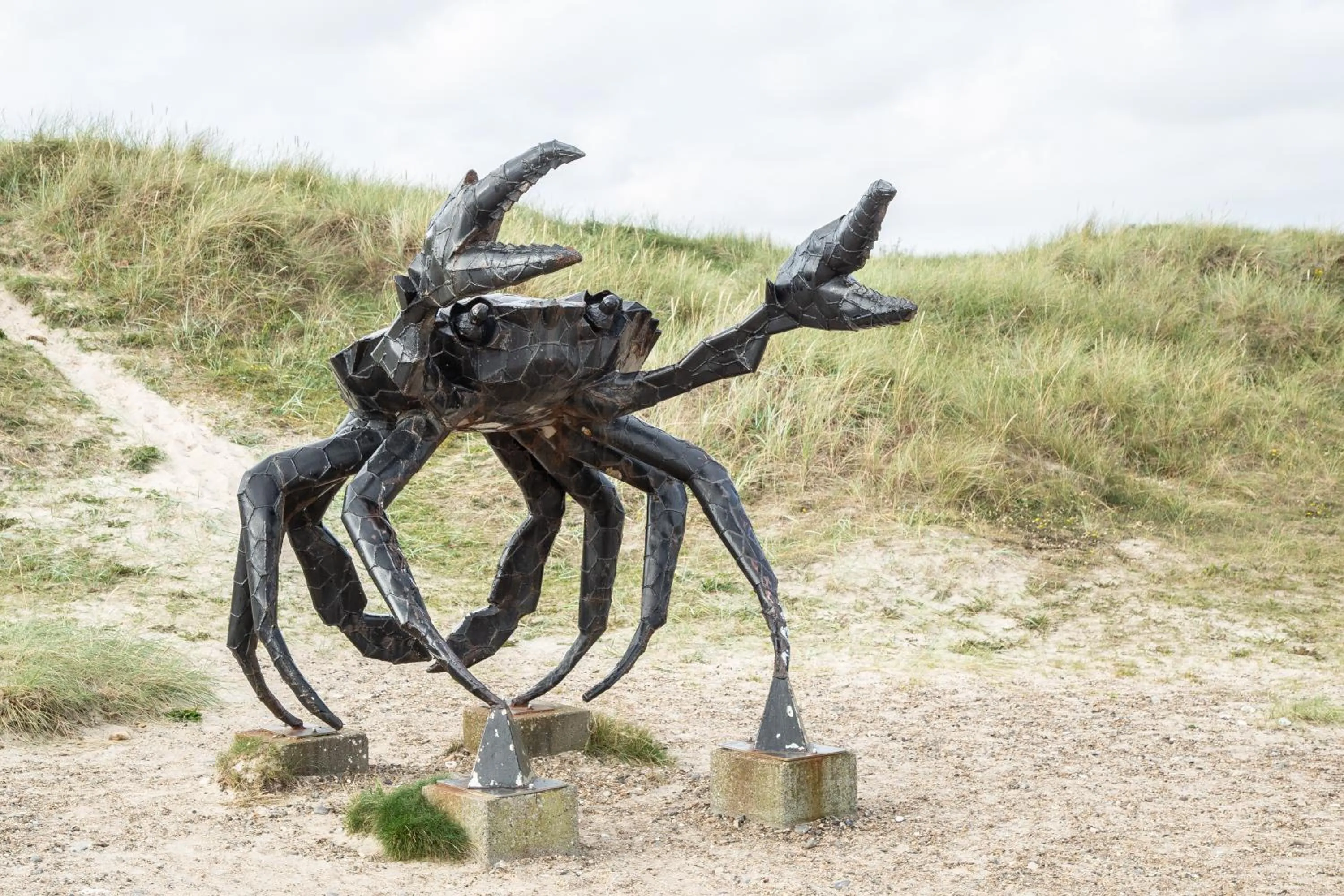 Natural landscape in Rønnes Hotel