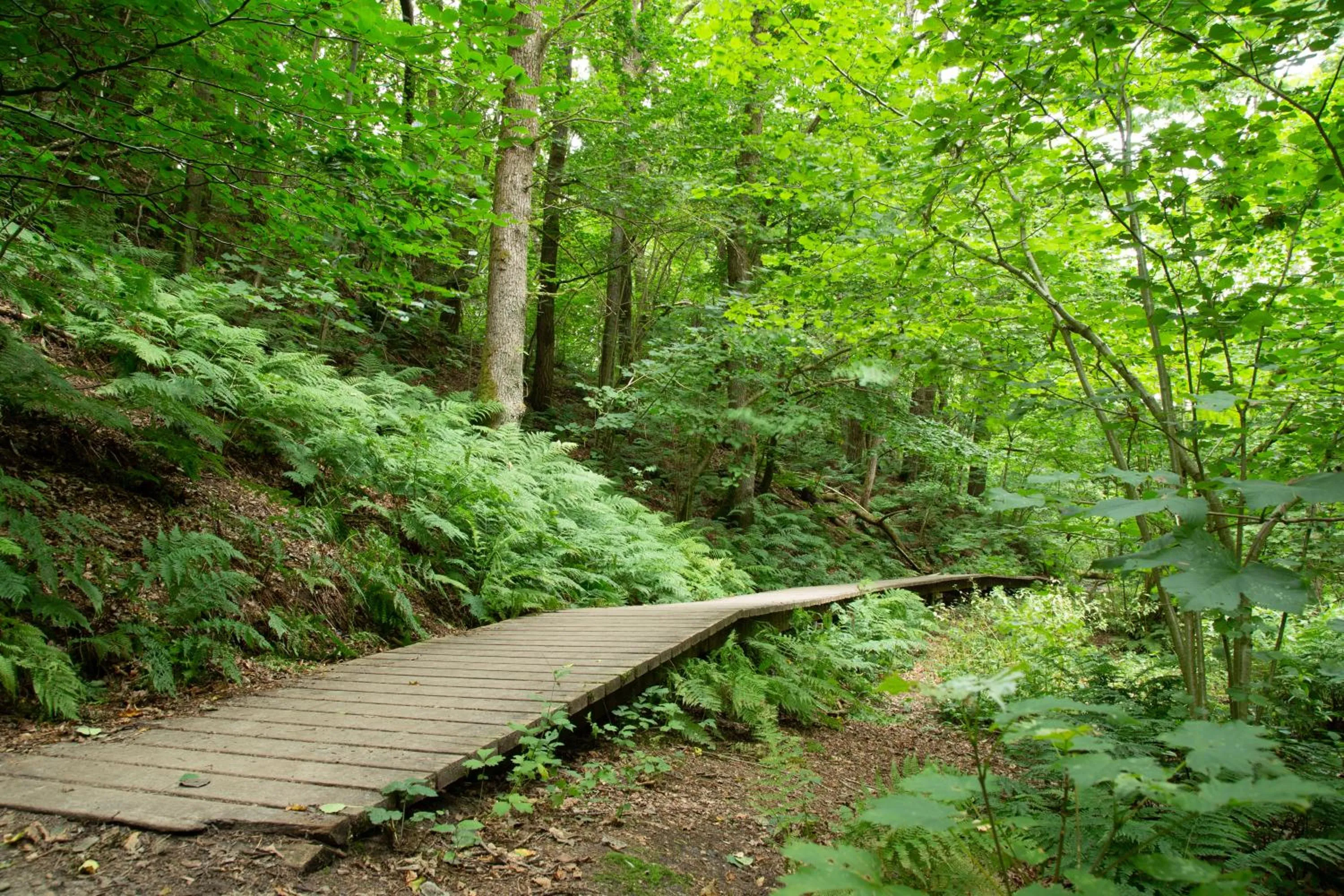 Natural landscape in Rønnes Hotel