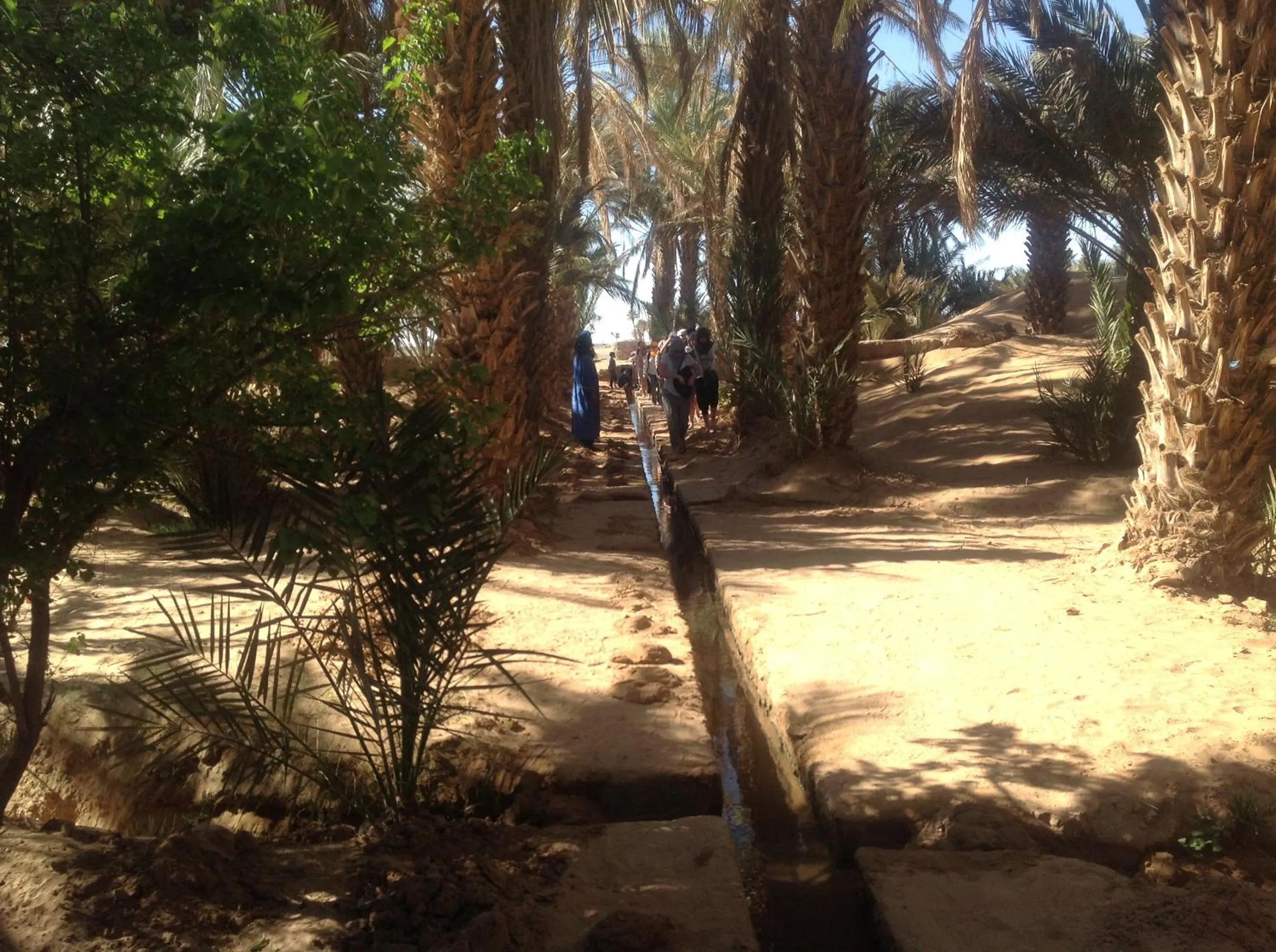 Spring in Hôtel Riad Tadarte Familier