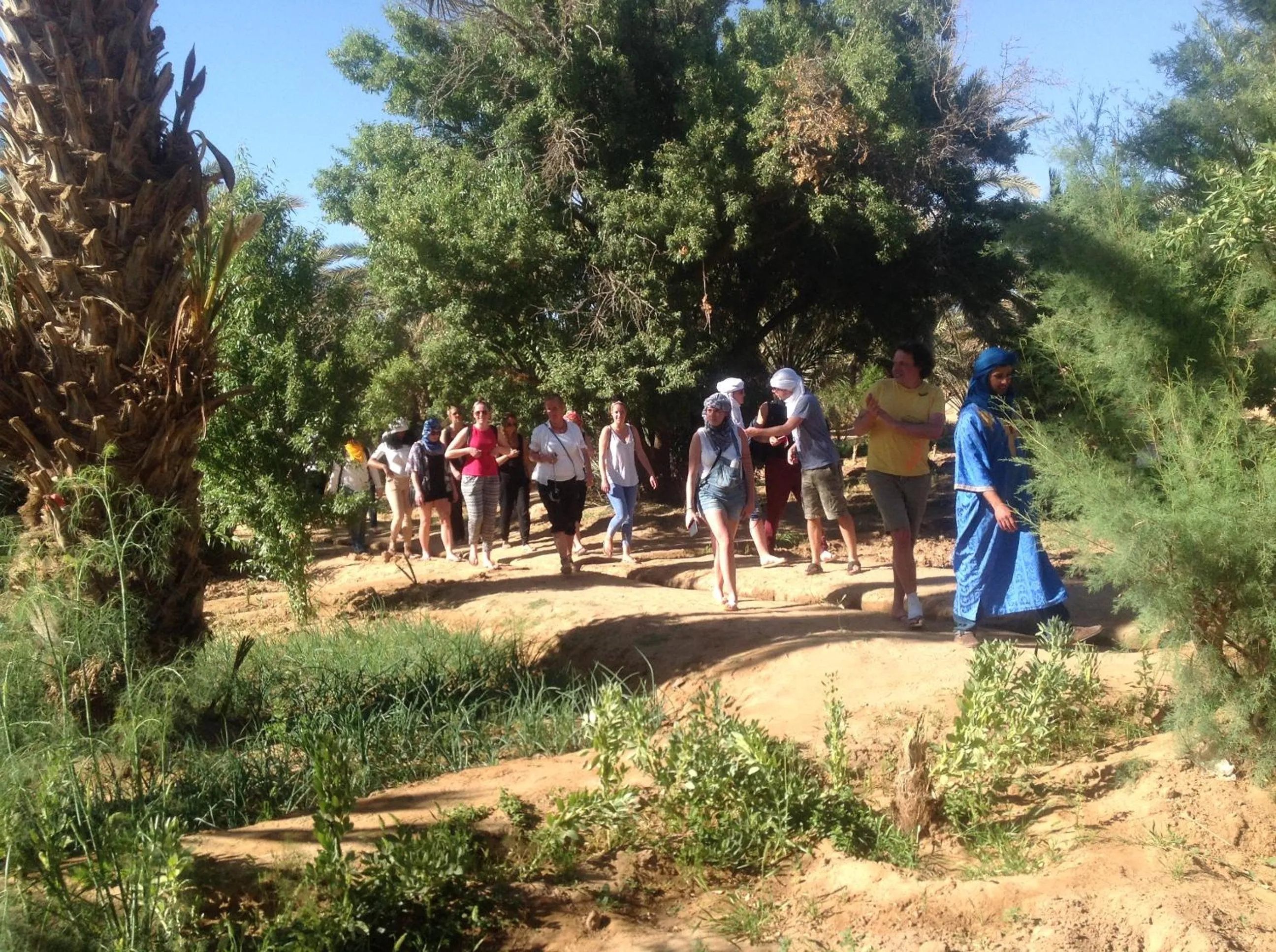Spring in Hôtel Riad Tadarte Familier