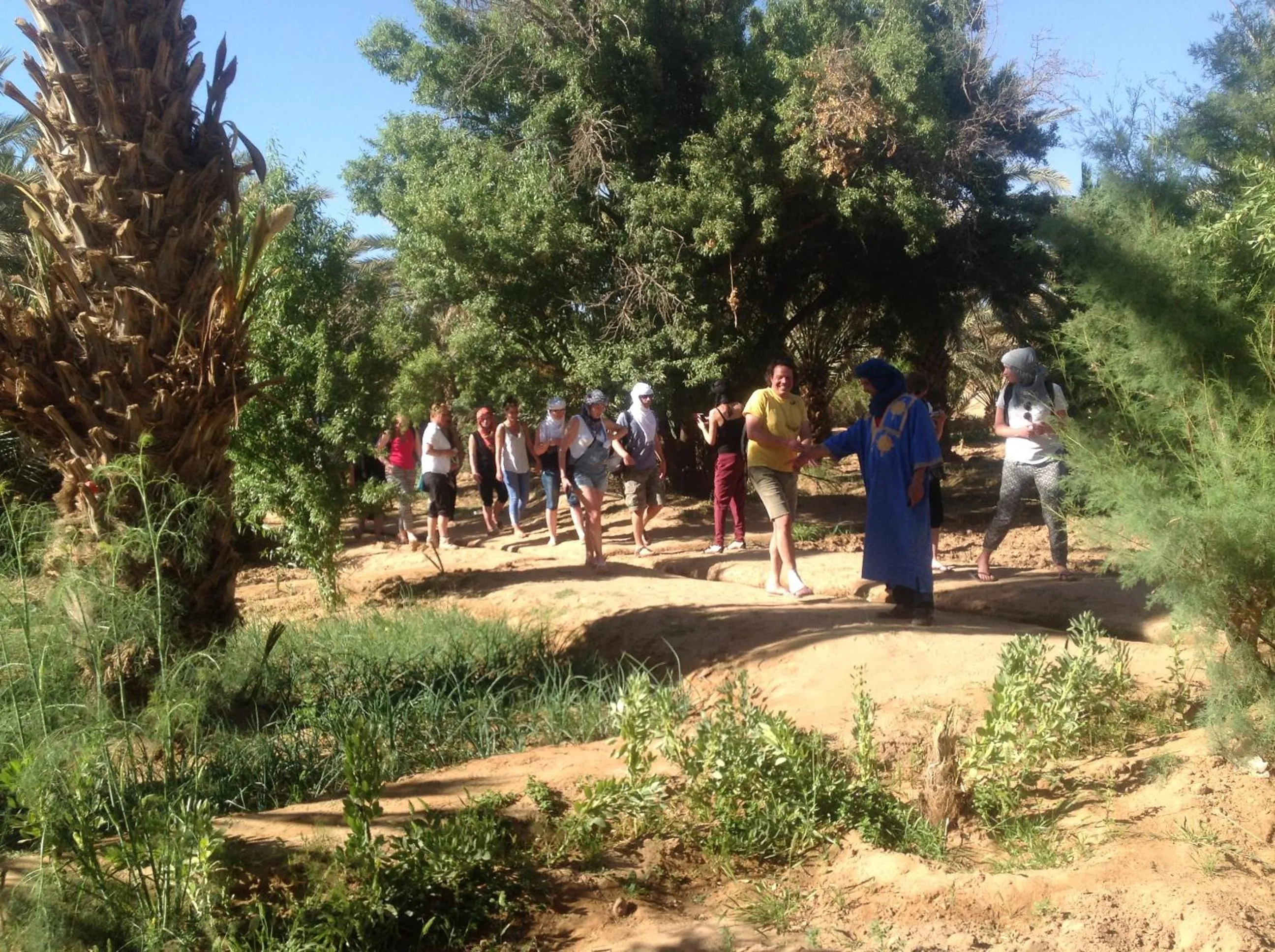 Spring in Hôtel Riad Tadarte Familier