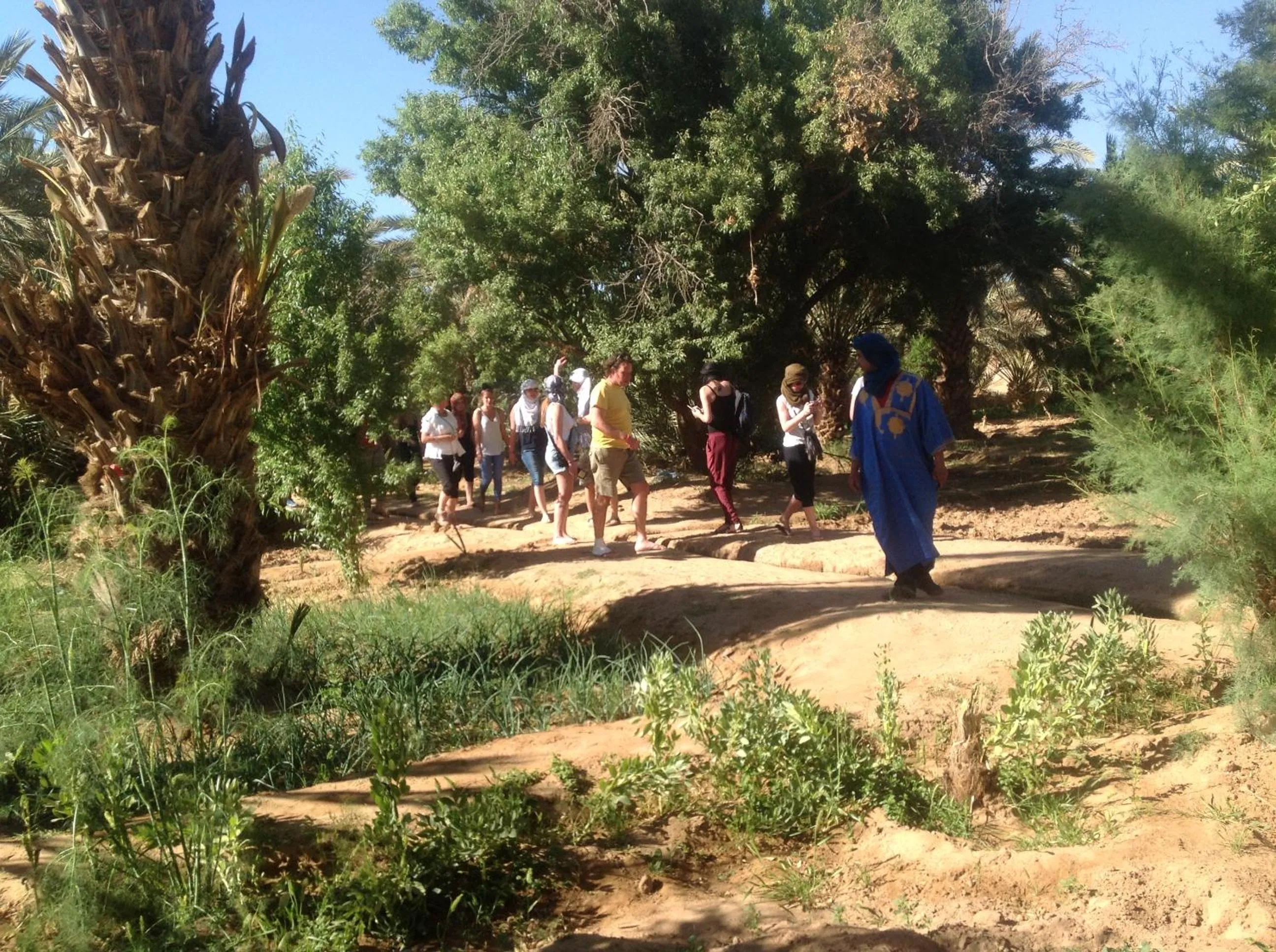 Spring in Hôtel Riad Tadarte Familier