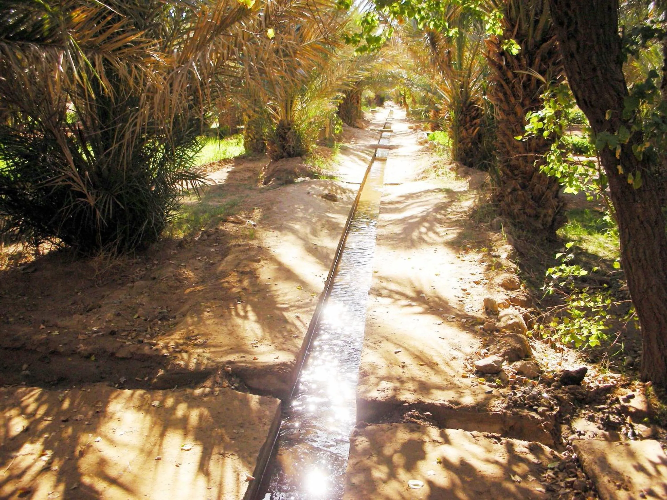 Spring in Hôtel Riad Tadarte Familier