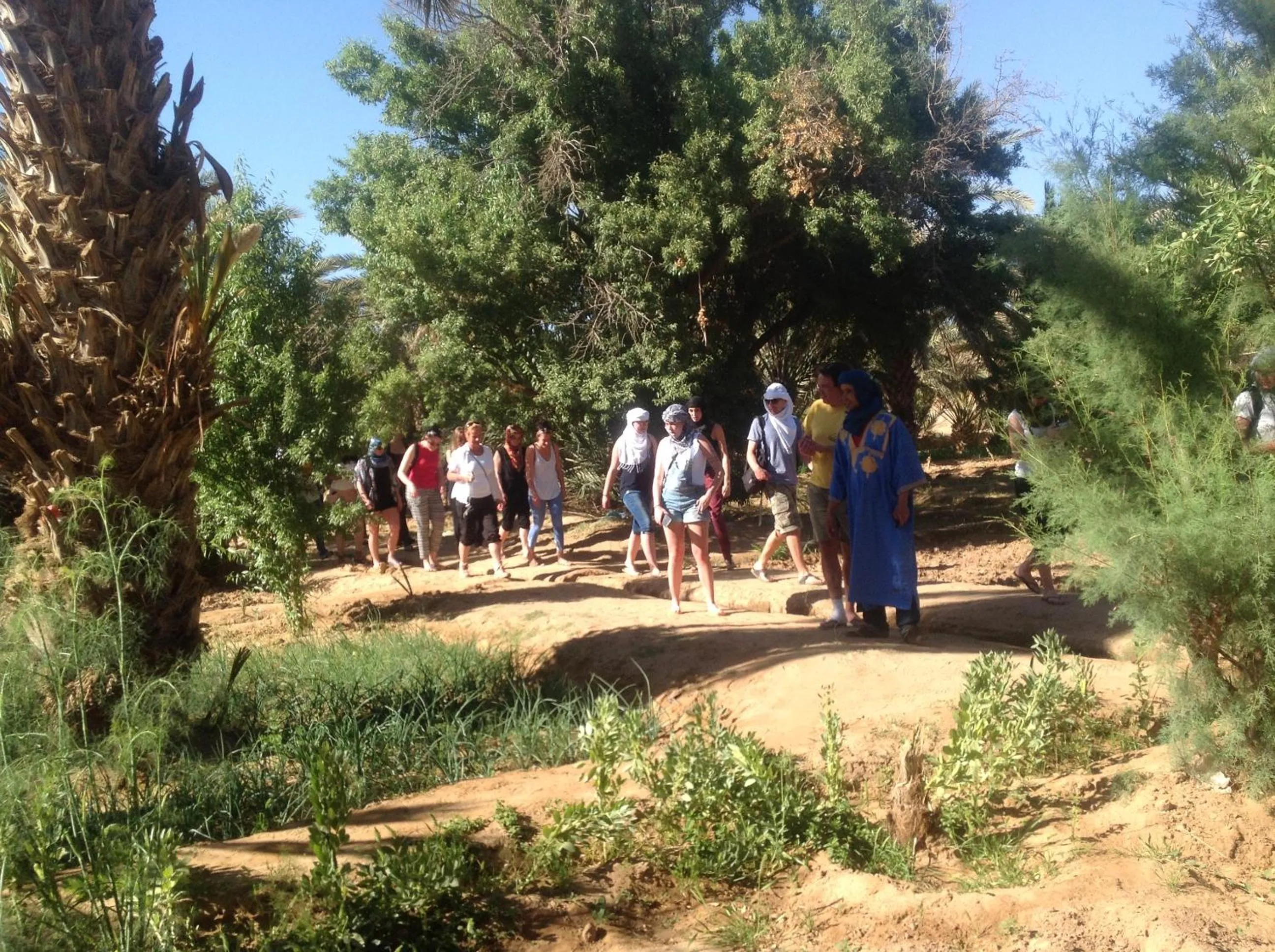Spring in Hôtel Riad Tadarte Familier
