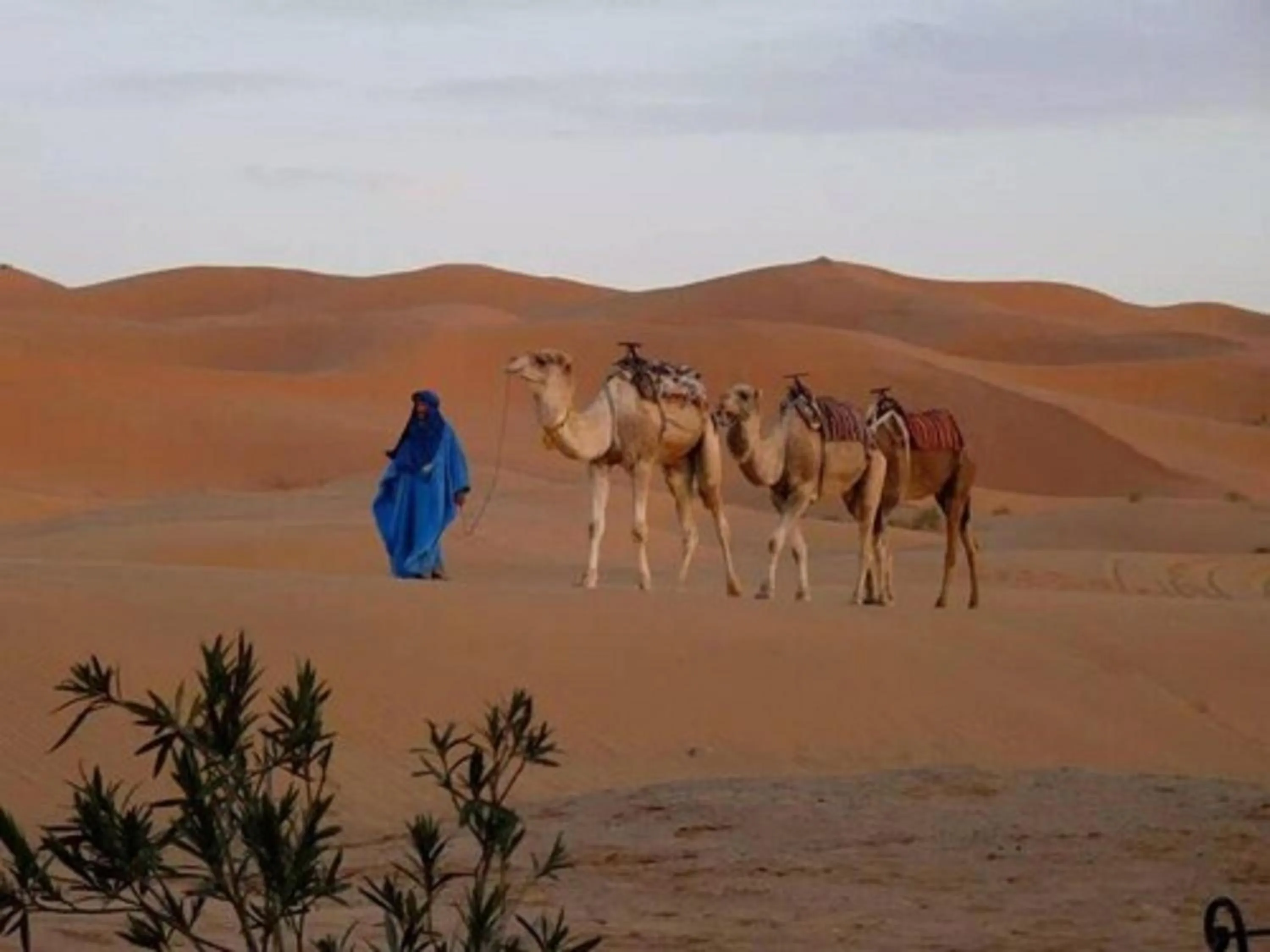 Day in Hôtel Riad Tadarte Familier