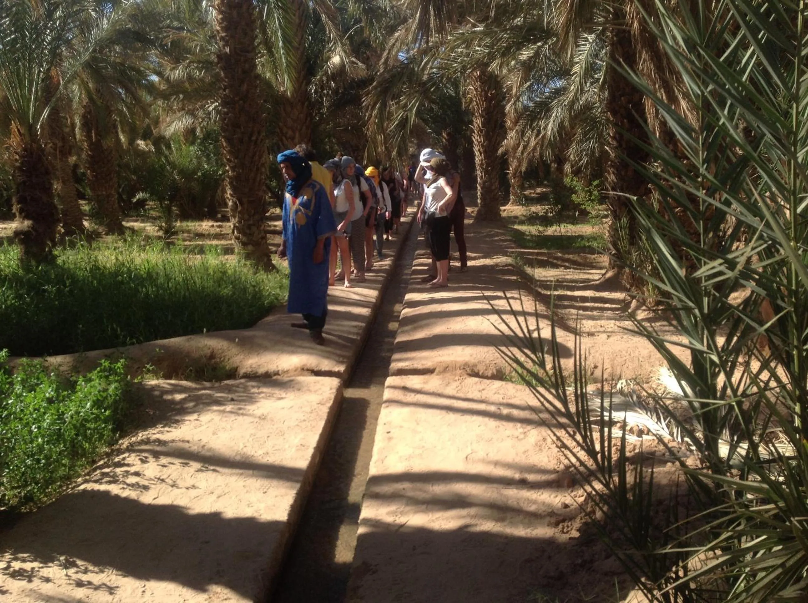 Spring in Hôtel Riad Tadarte Familier