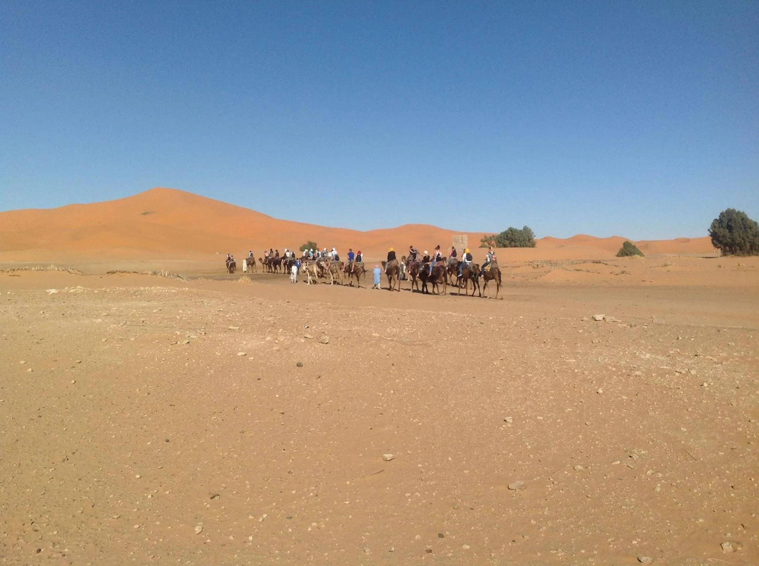 Day in Hôtel Riad Tadarte Familier