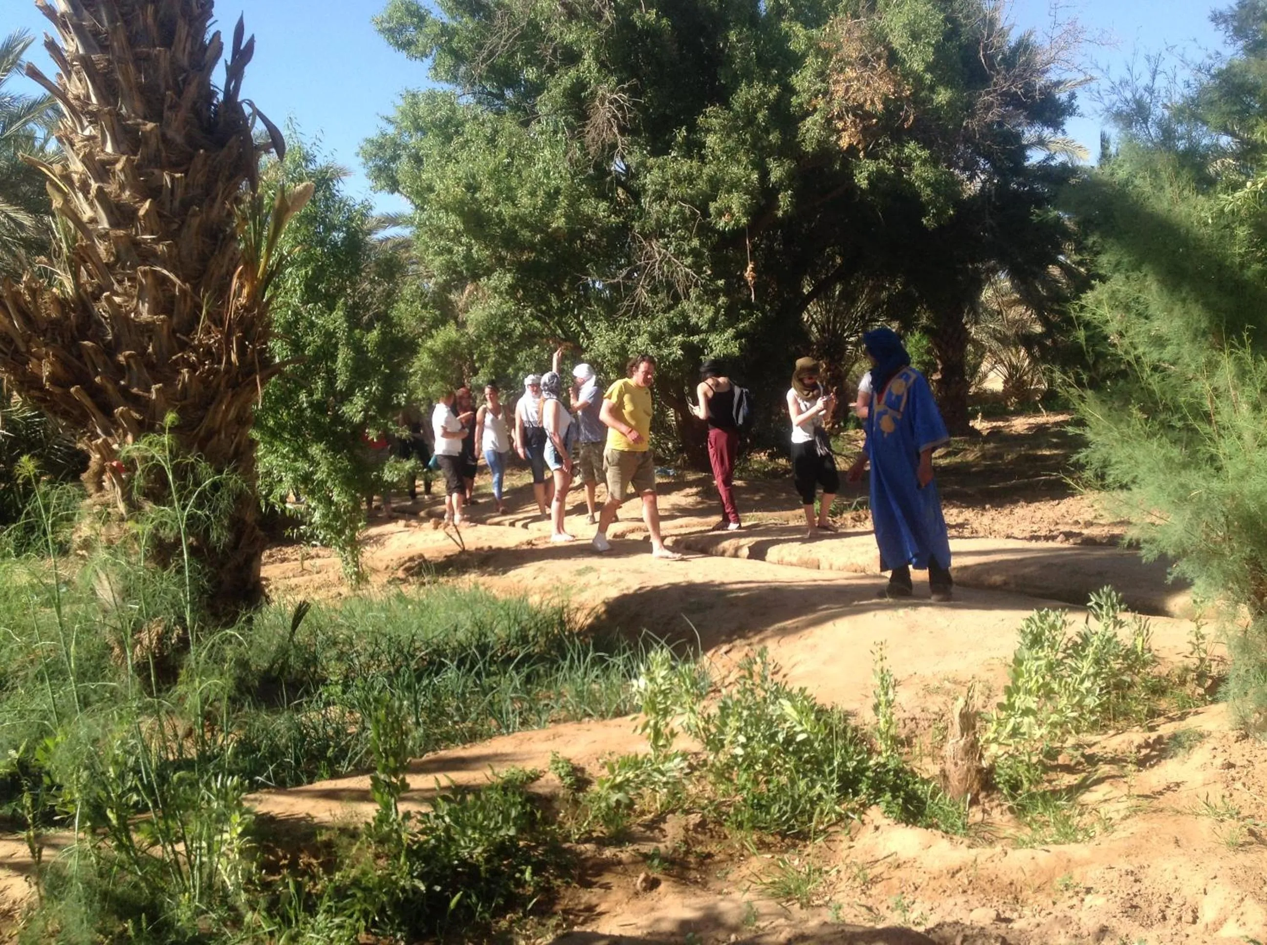 Spring in Hôtel Riad Tadarte Familier