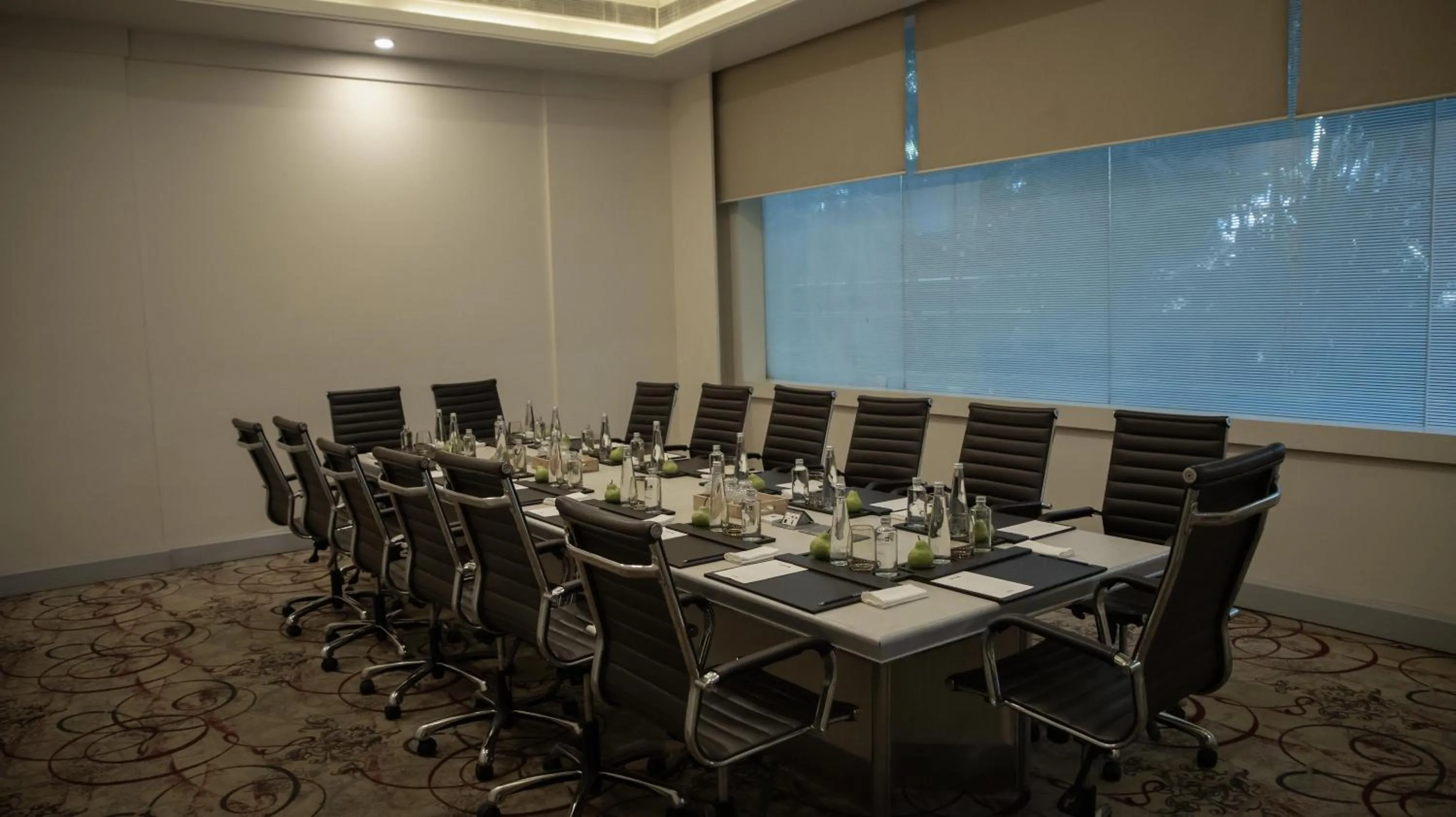 Meeting/conference room in Radisson Blu Bengaluru Outer Ring Road