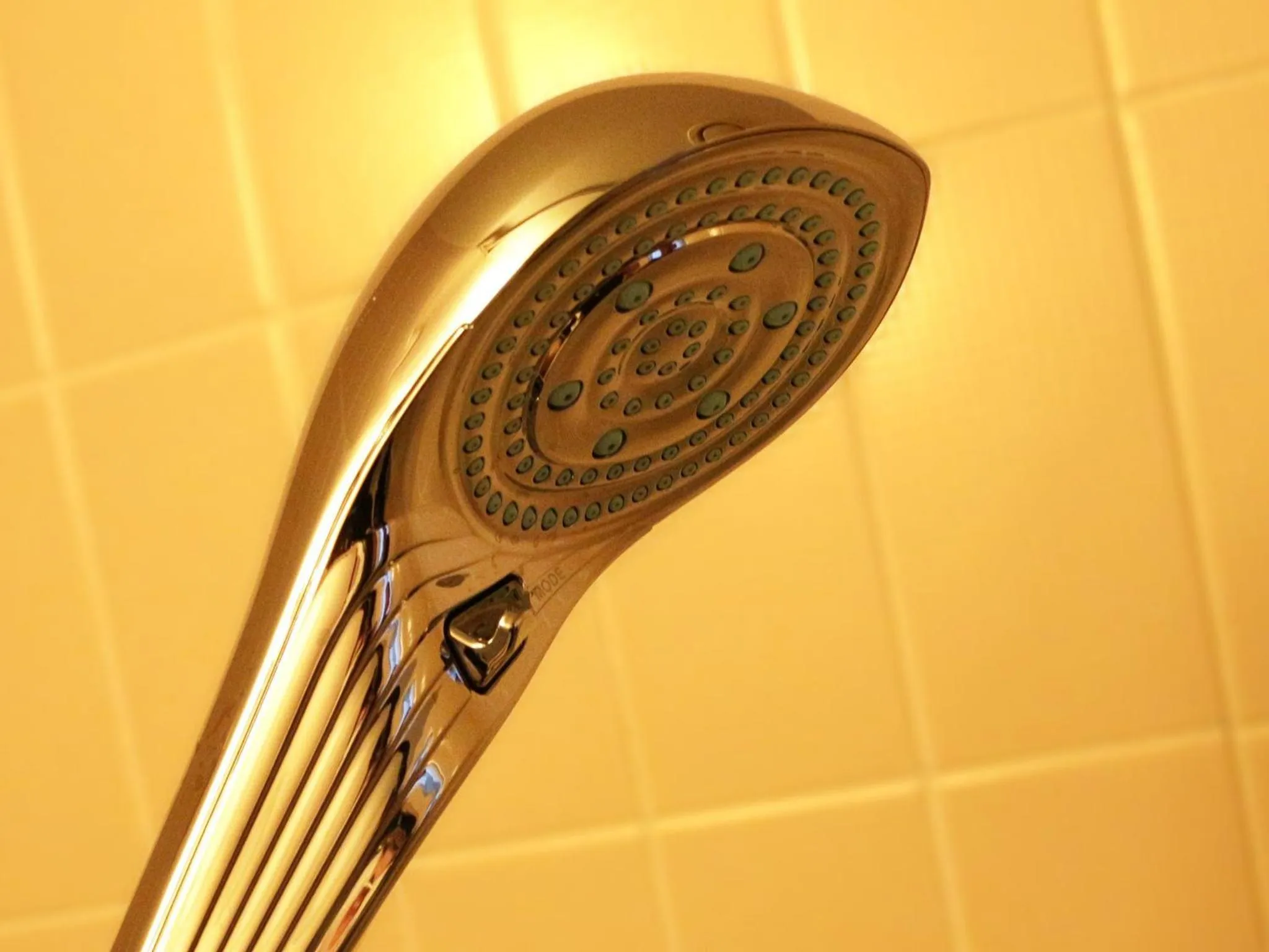 Hotel Crown Palais Hamamatsu