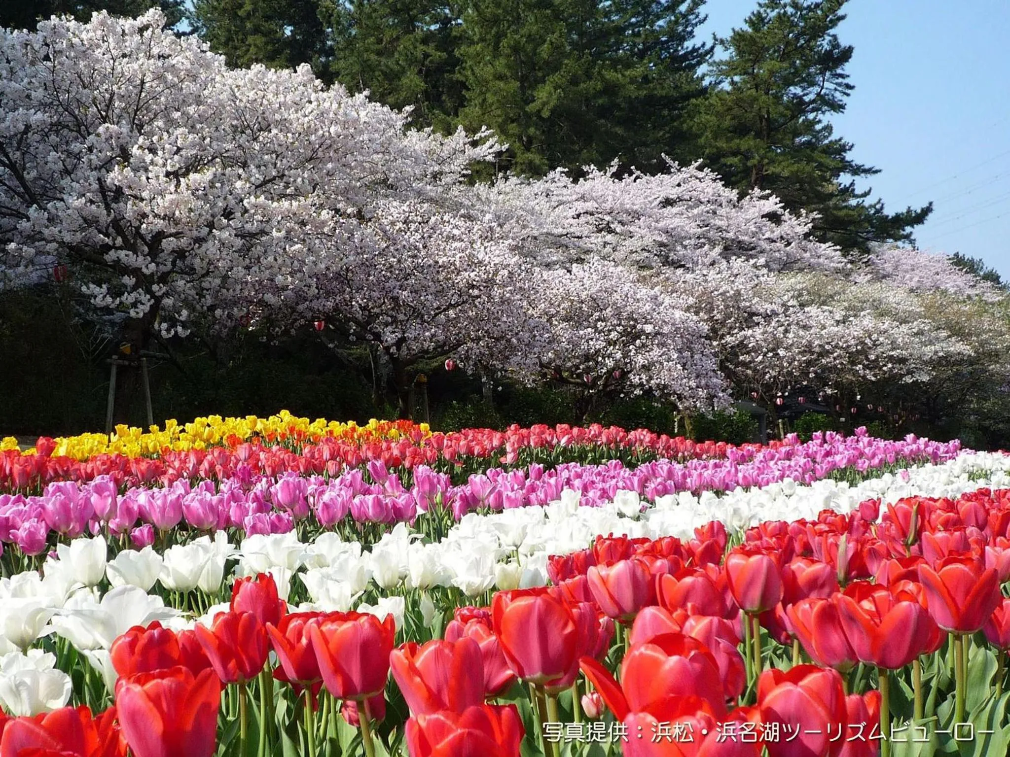 Nearby landmark in Hotel Crown Palais Hamamatsu