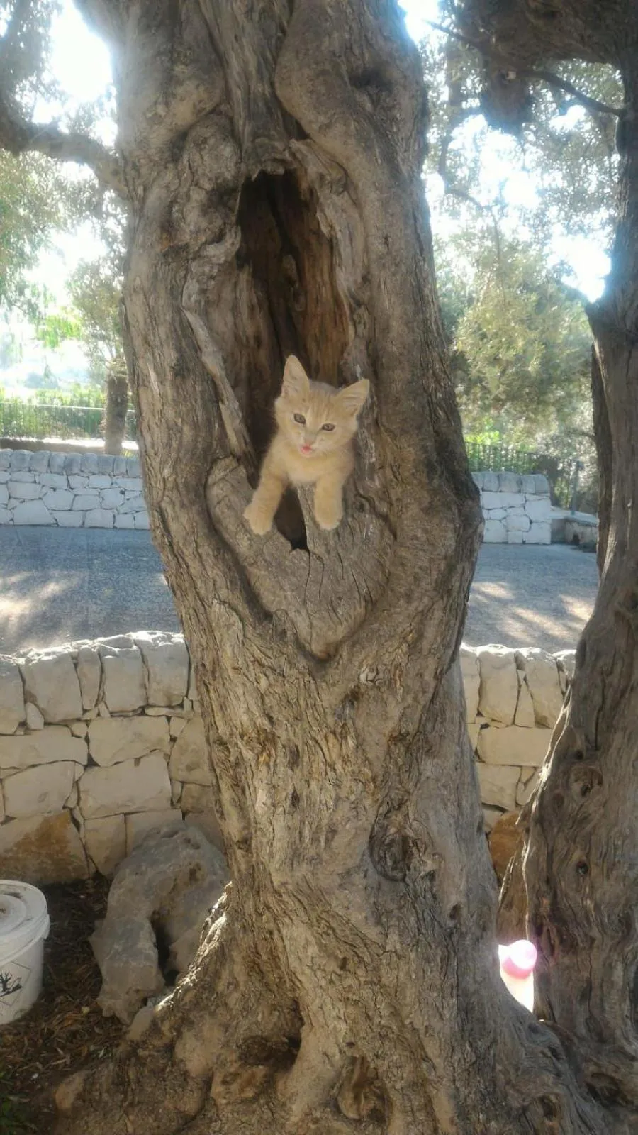 Property building in Terre Iblee Resort