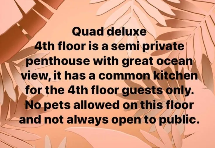 Seabreeze Beach Lodge