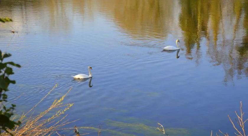 Killarney View House B&B