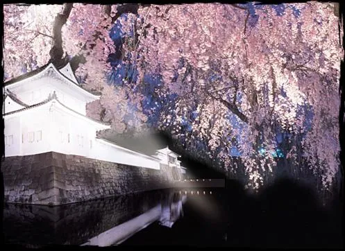 Property Building in Modern Machiya-Babacho