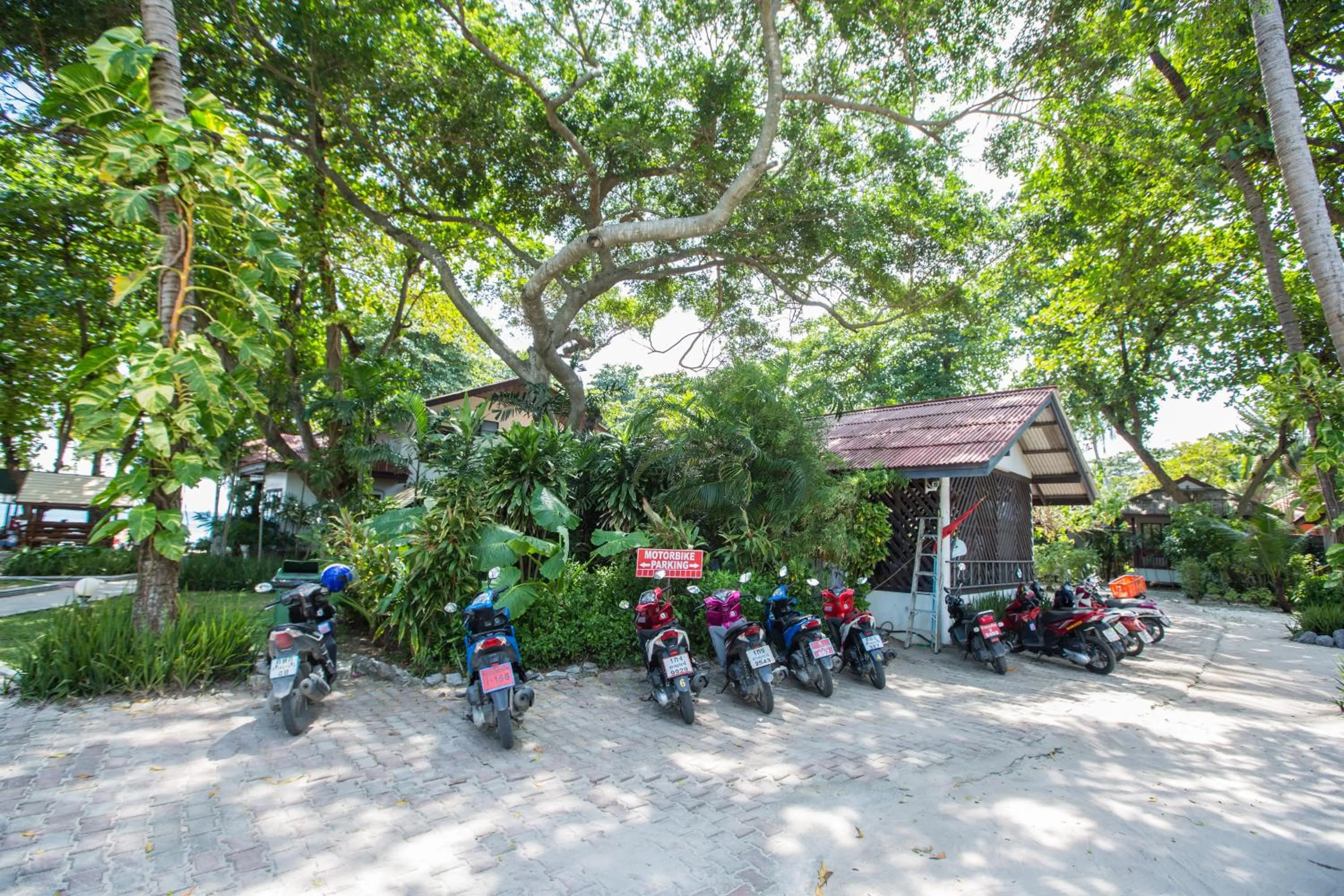 Other in Long Beach Lodge, Chaweng Beach, Koh Samui