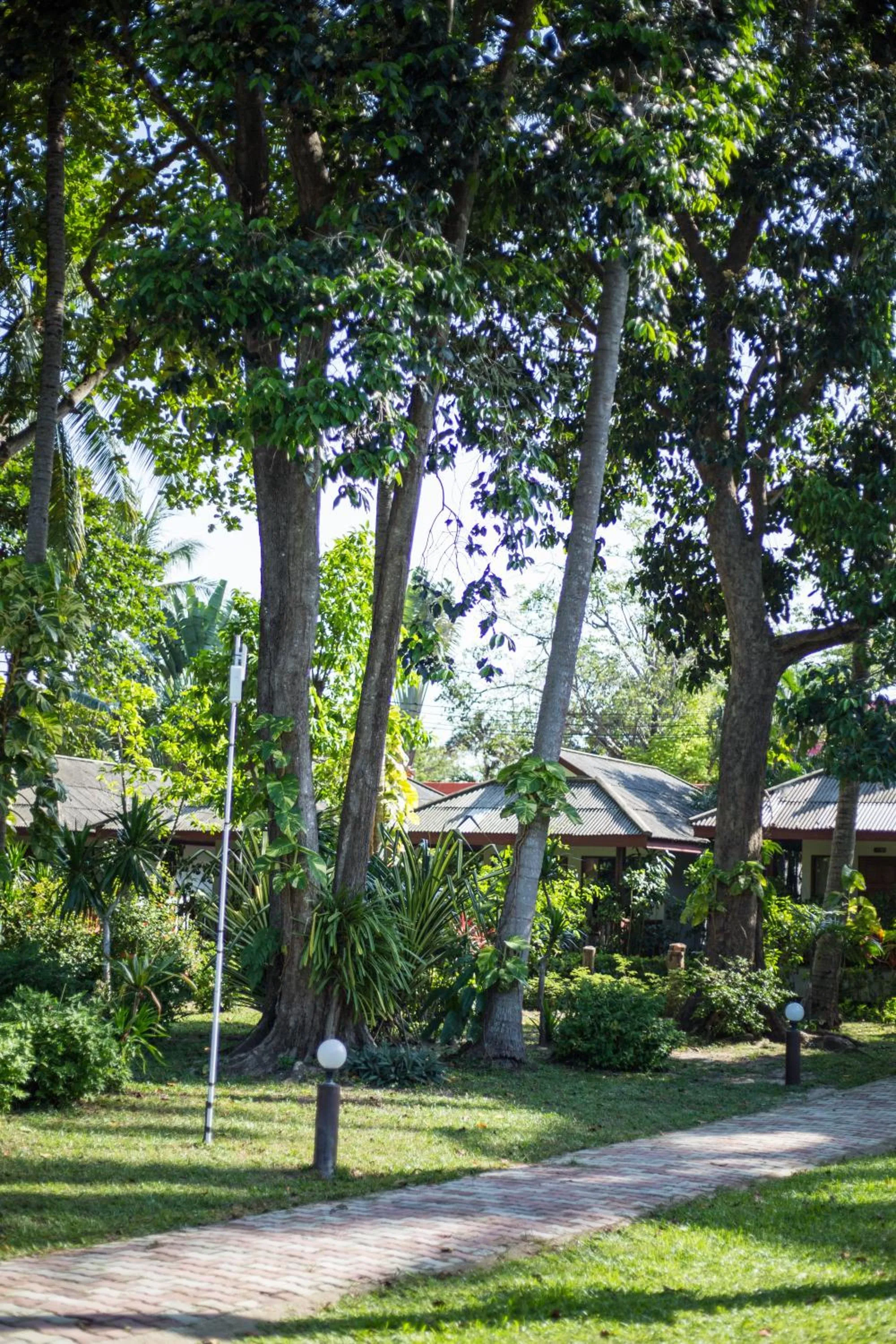 Garden in Long Beach Lodge, Chaweng Beach, Koh Samui