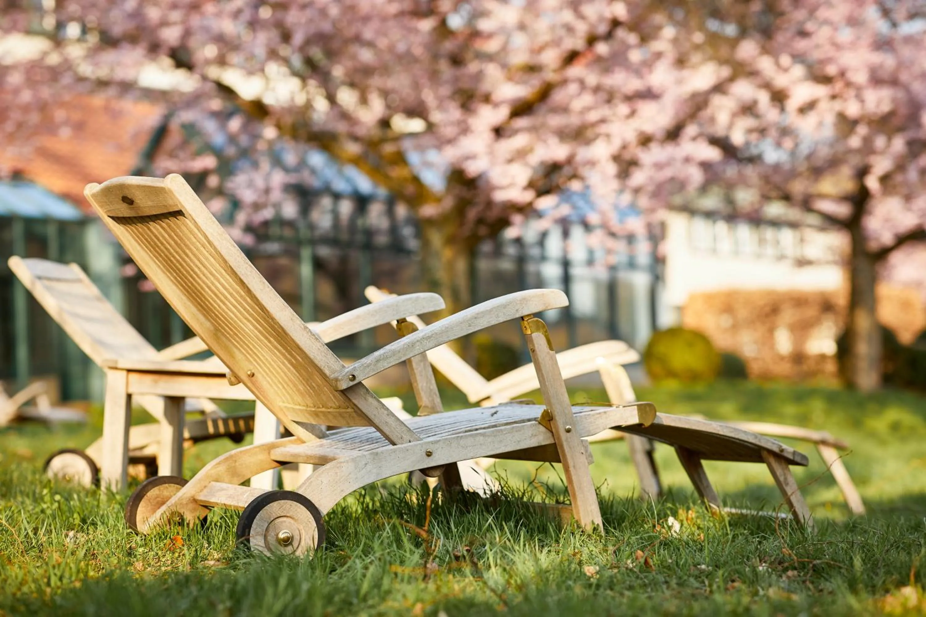 Spring in Hotel Hohenhaus