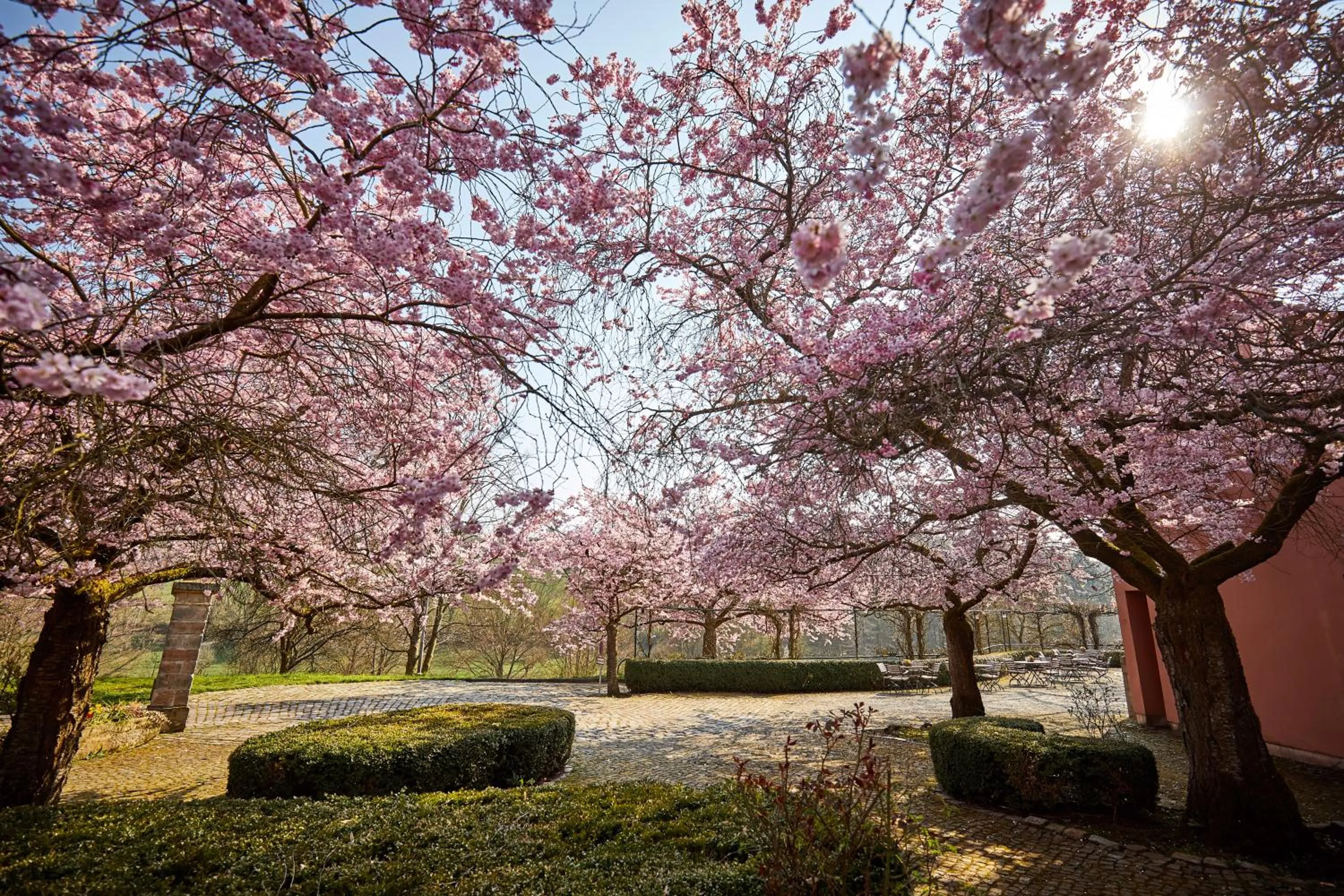 Patio in Hotel Hohenhaus