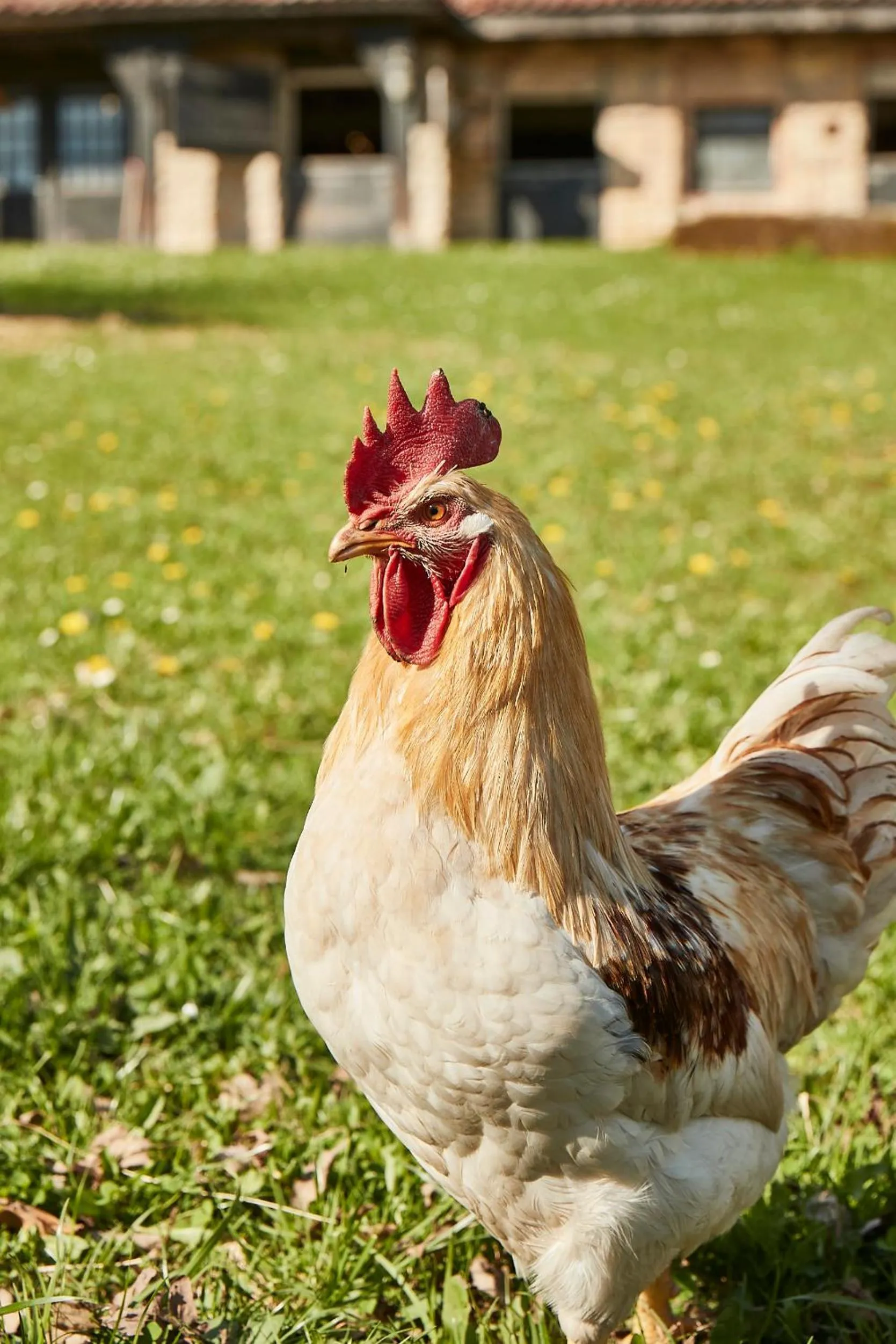 Day in Hotel Hohenhaus