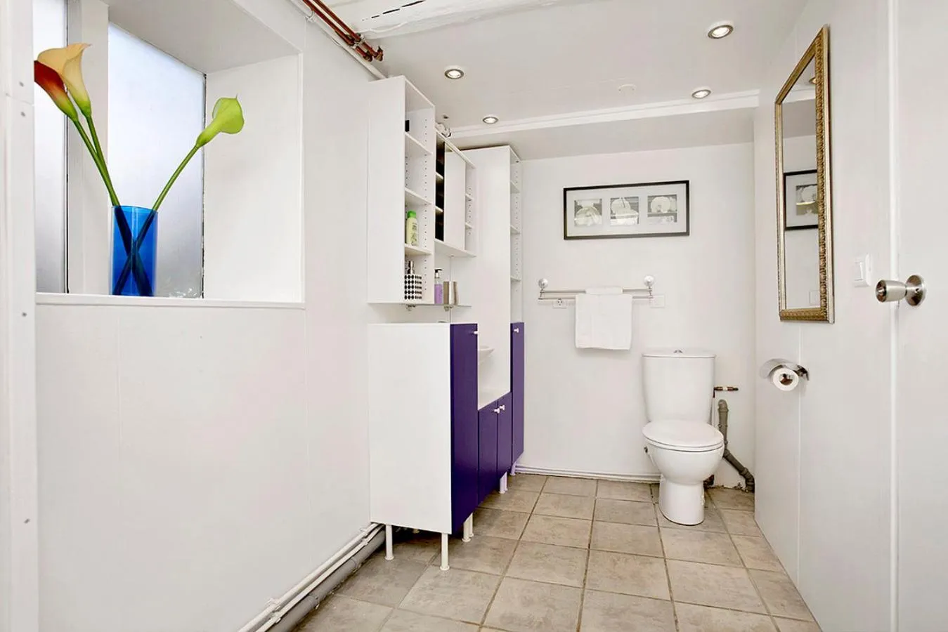 Toilet in Alfred's Apartments