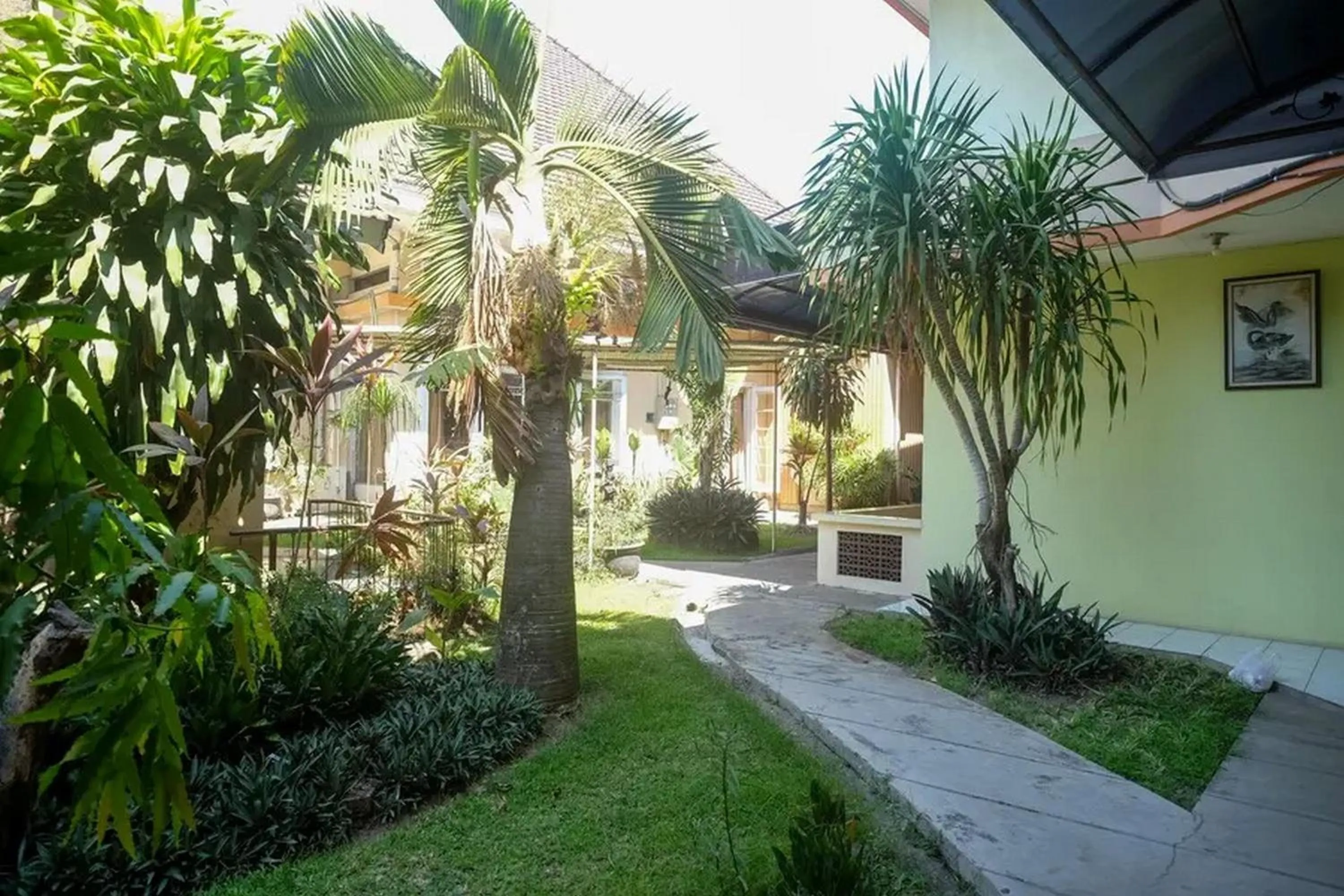 Garden view in RedDoorz Plus @ Laweyan