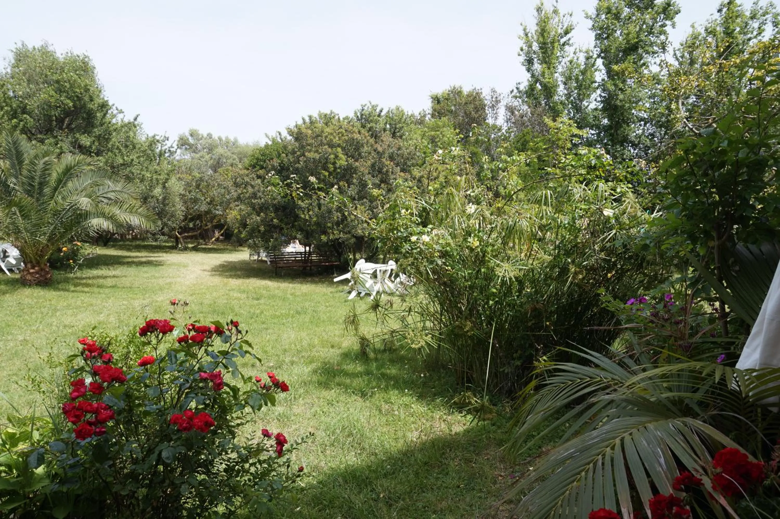 Garden in Hotel Onda Marina