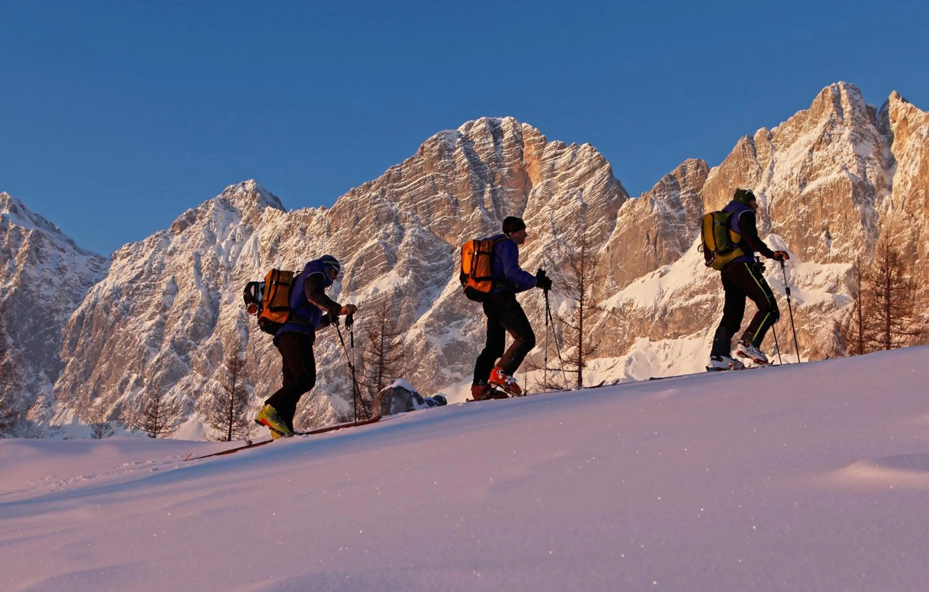 Area and facilities in Aparthotel DAS Hochkönig