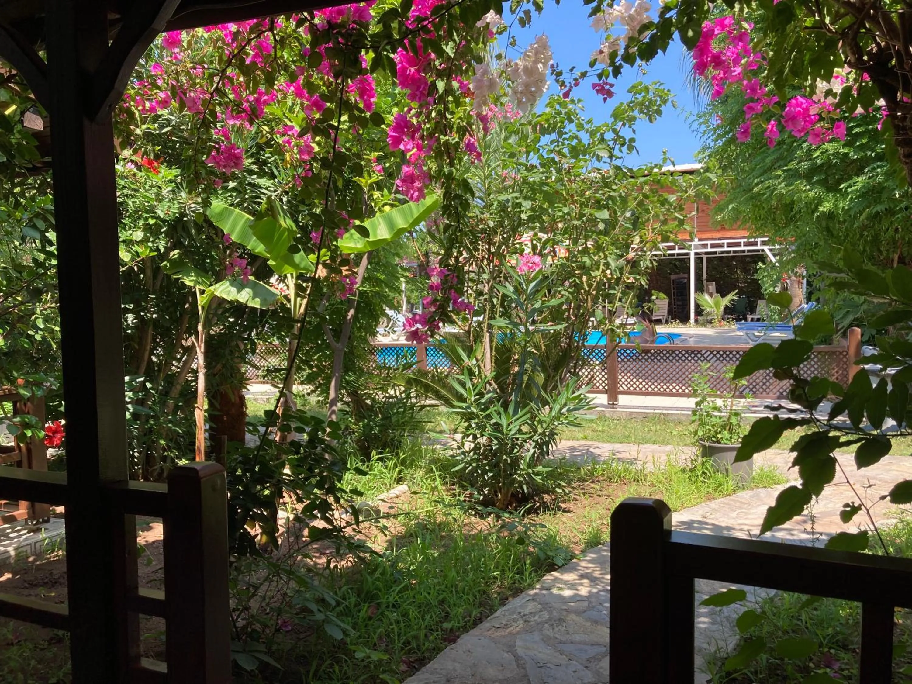 Garden view in Kutle Hotel