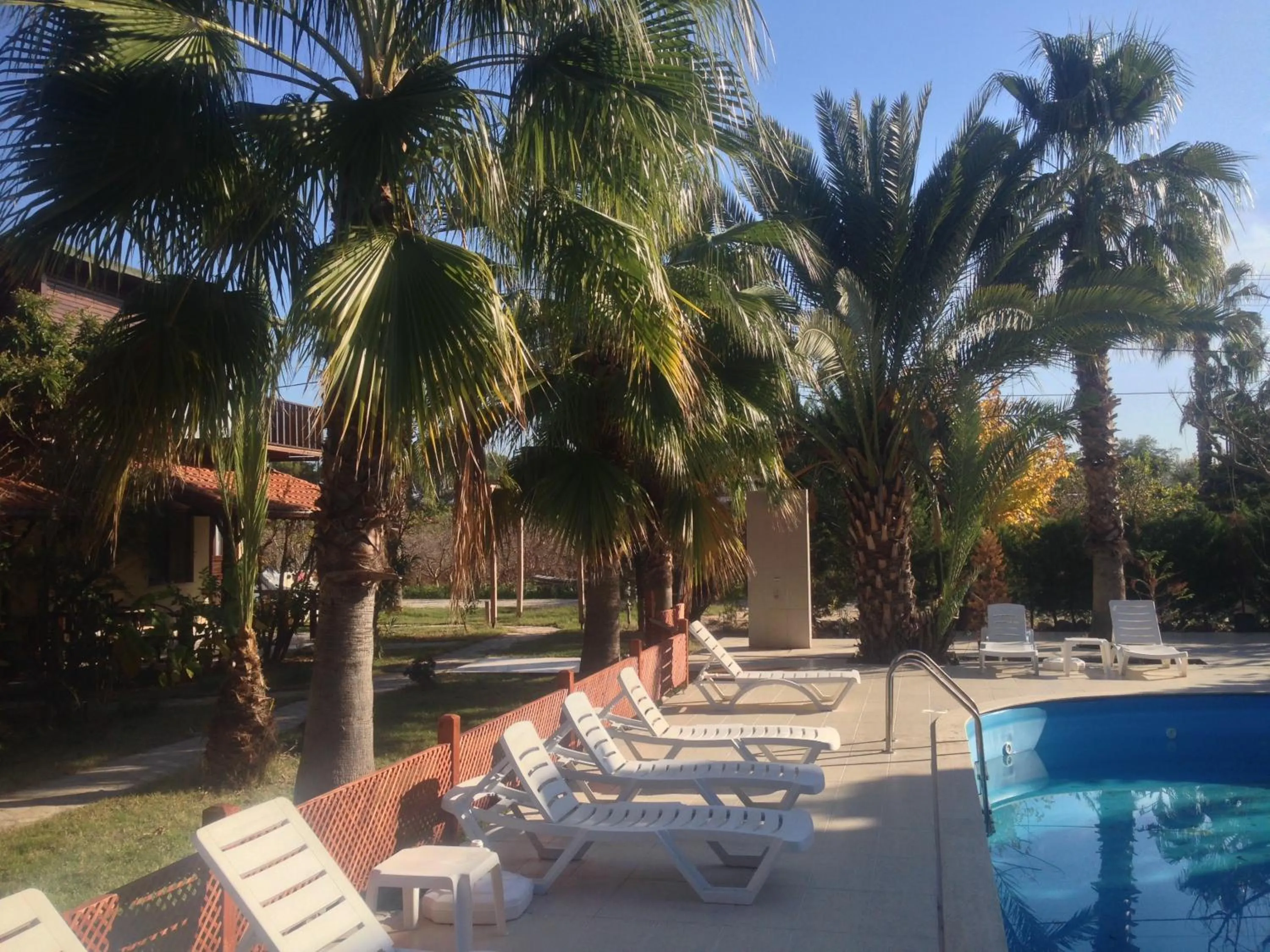 Garden in Kutle Hotel