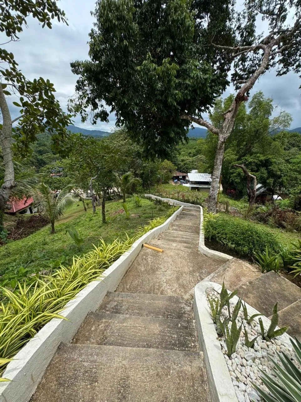 Natural landscape in RC Villas and Resorts