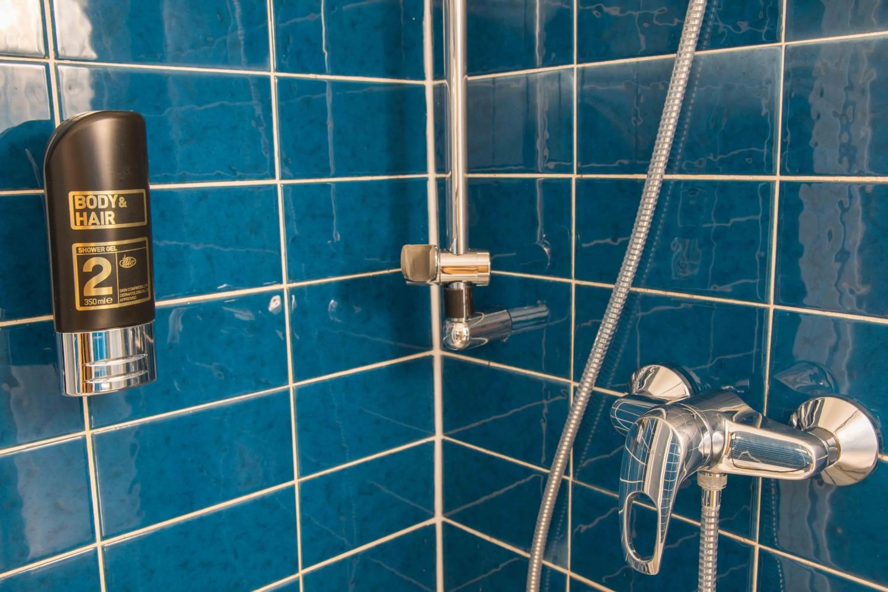 Shower in Pension Dr. Geissler