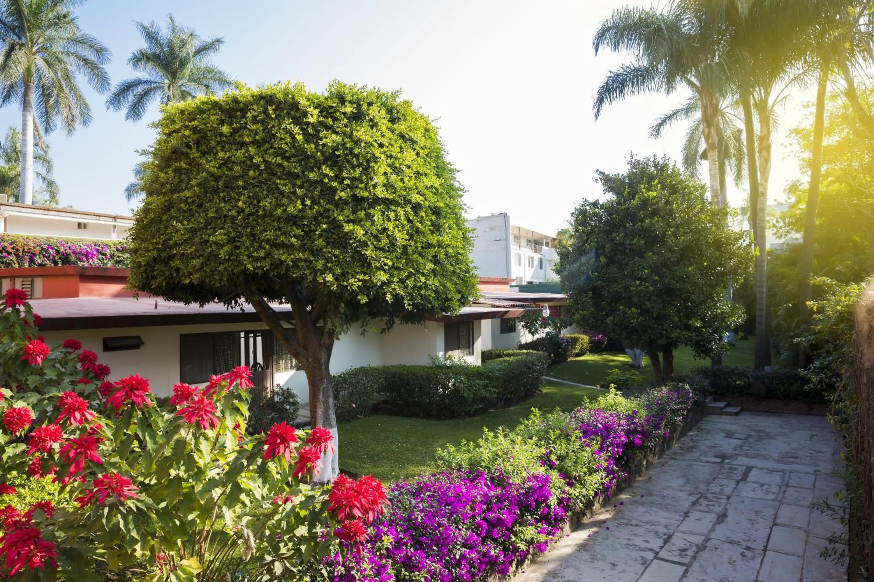 Property building in Gamma Cuernavaca Puerta Paraiso
