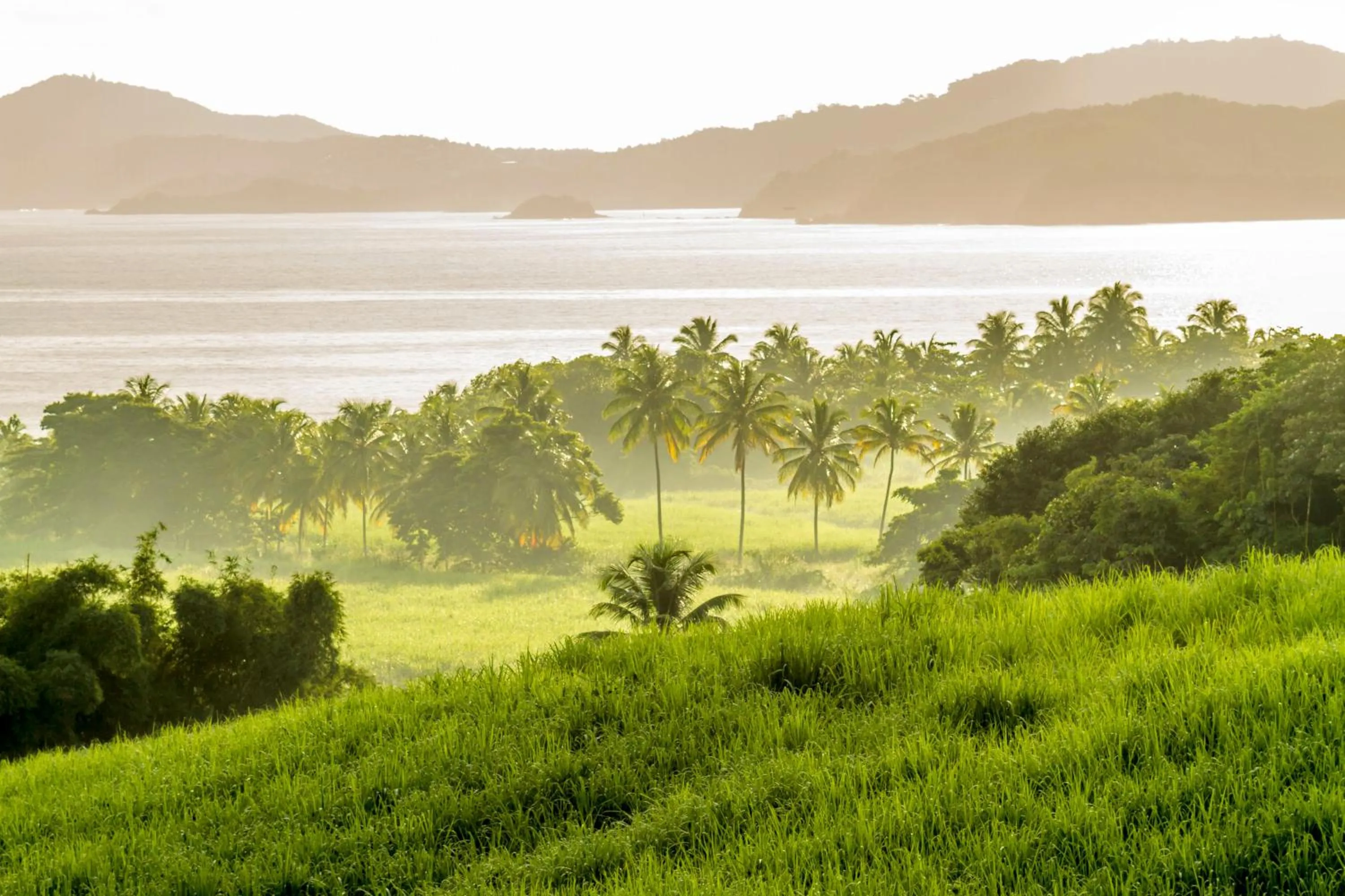Natural landscape in Le Domaine Saint Aubin
