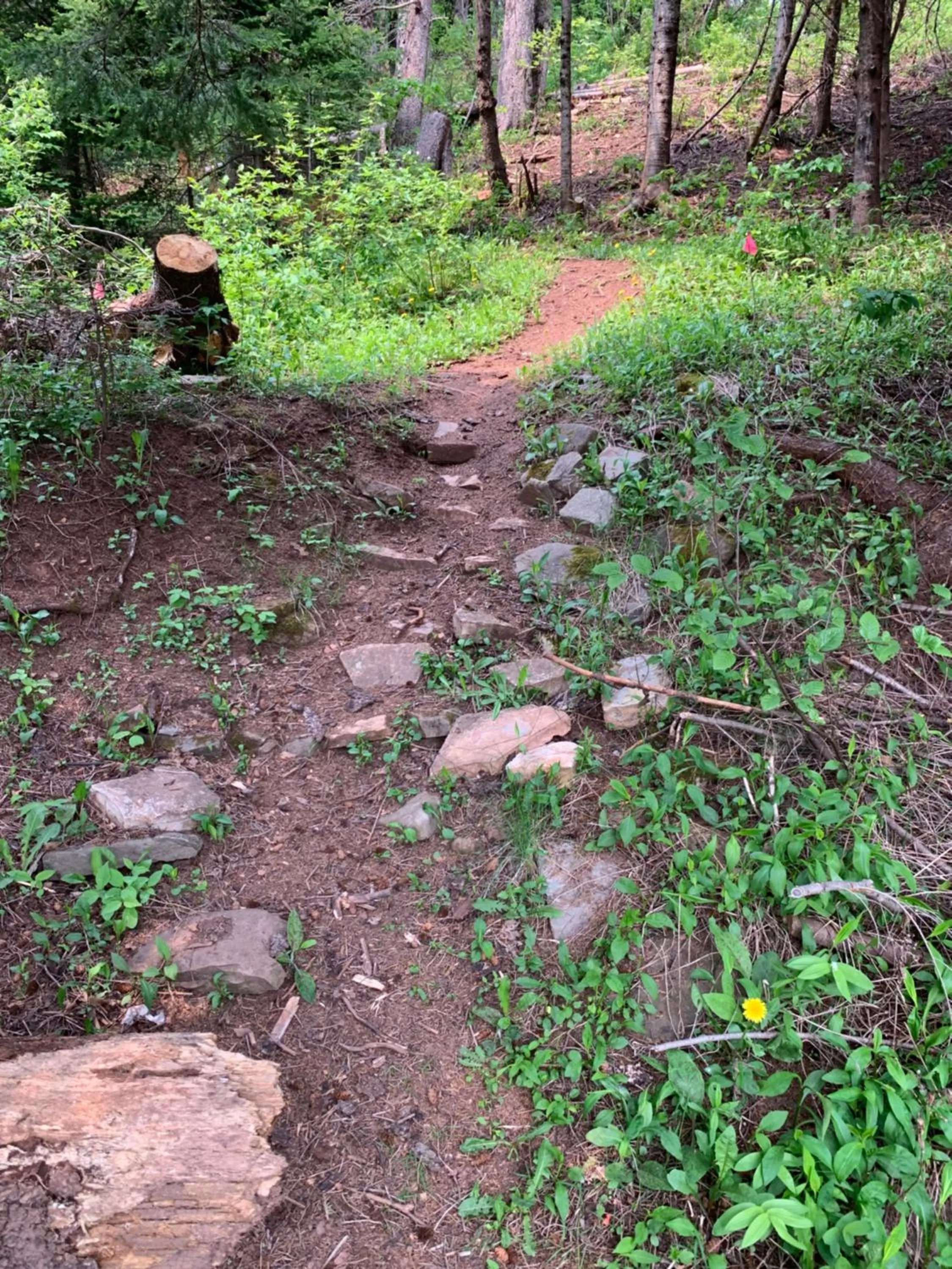 Au Pic de l'Aurore Motel-Chalets