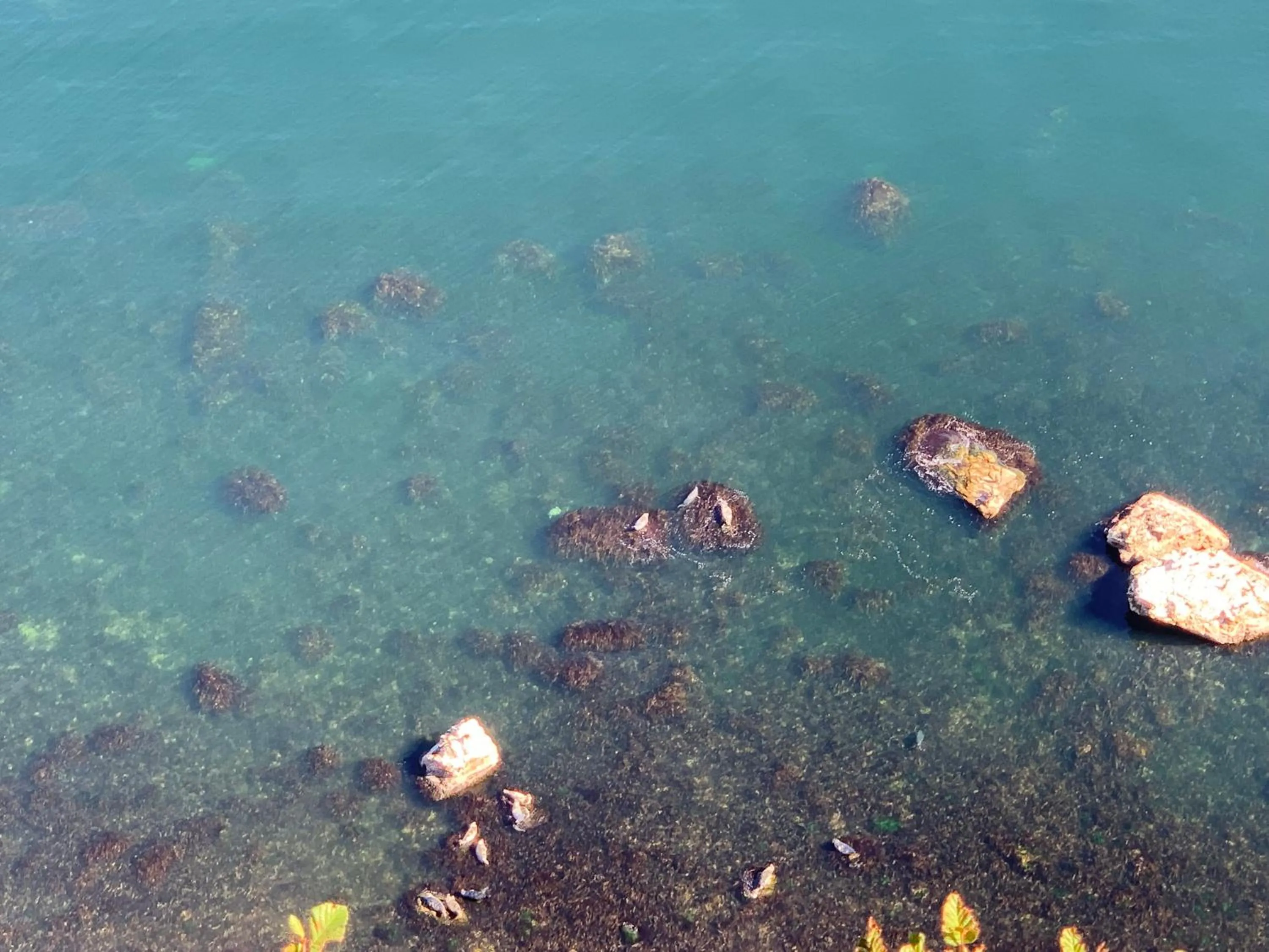 View (from property/room) in Au Pic de l'Aurore Motel-Chalets