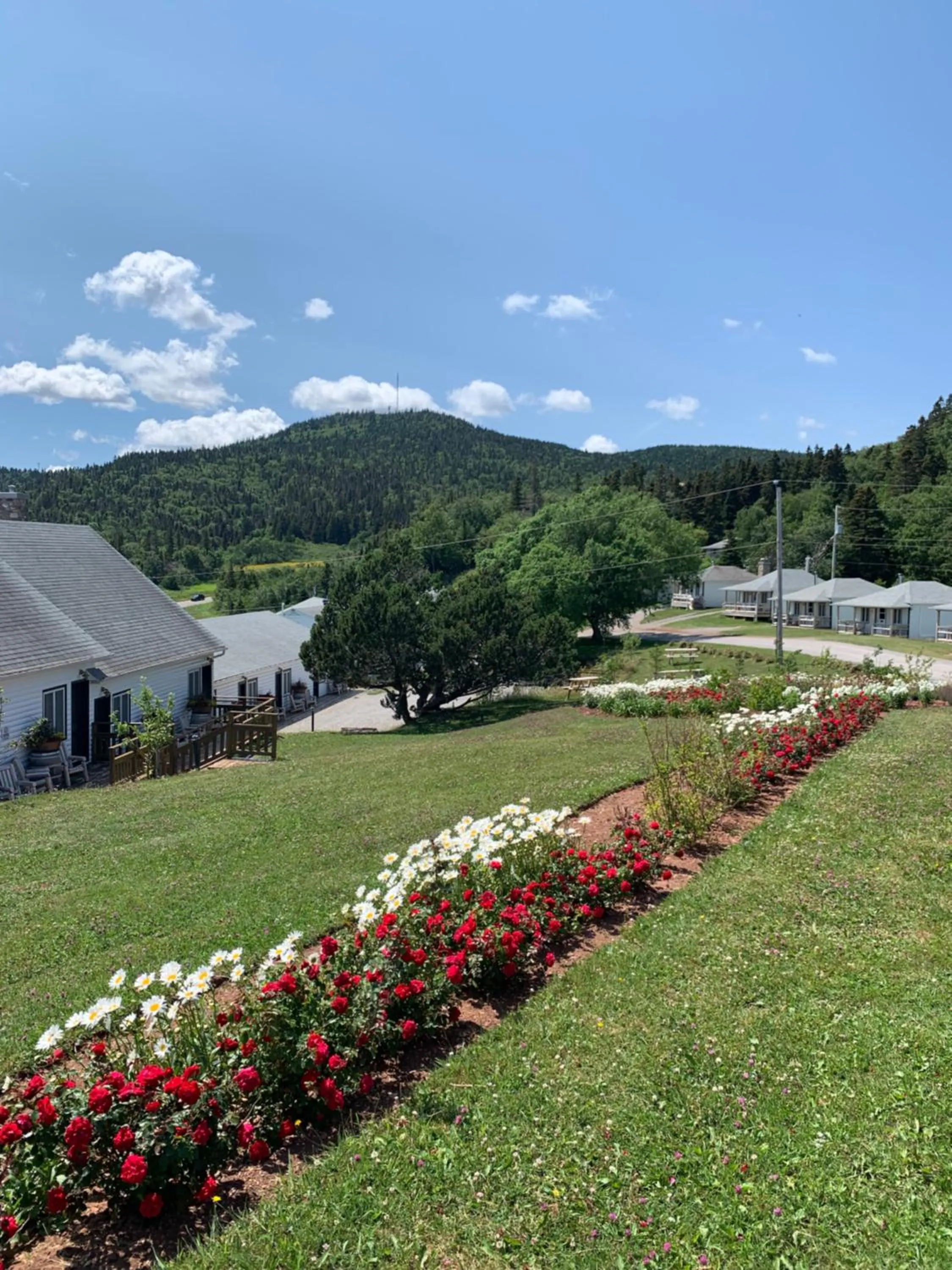 Natural landscape in Au Pic de l'Aurore Motel-Chalets