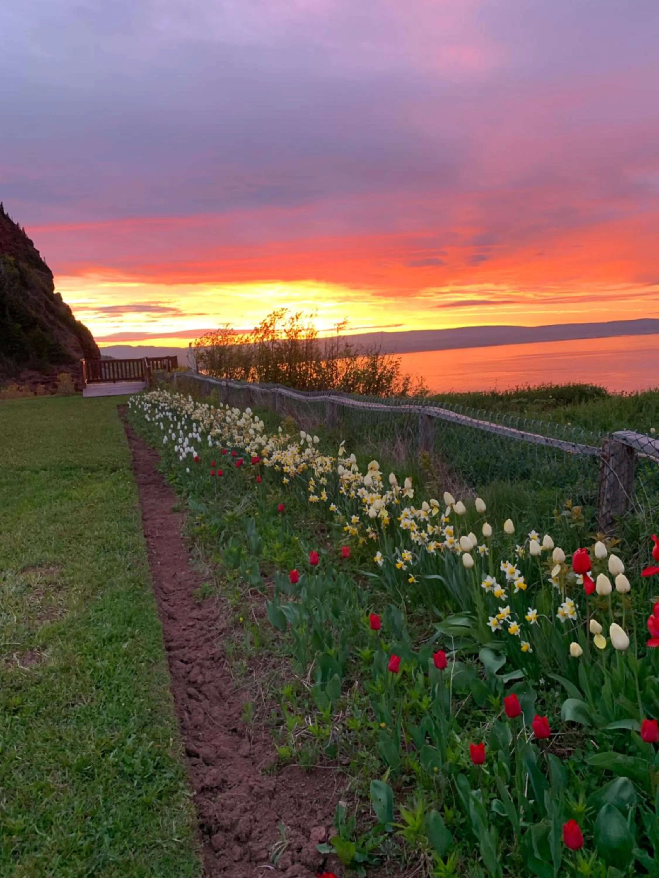 Garden in Au Pic de l'Aurore Motel-Chalets
