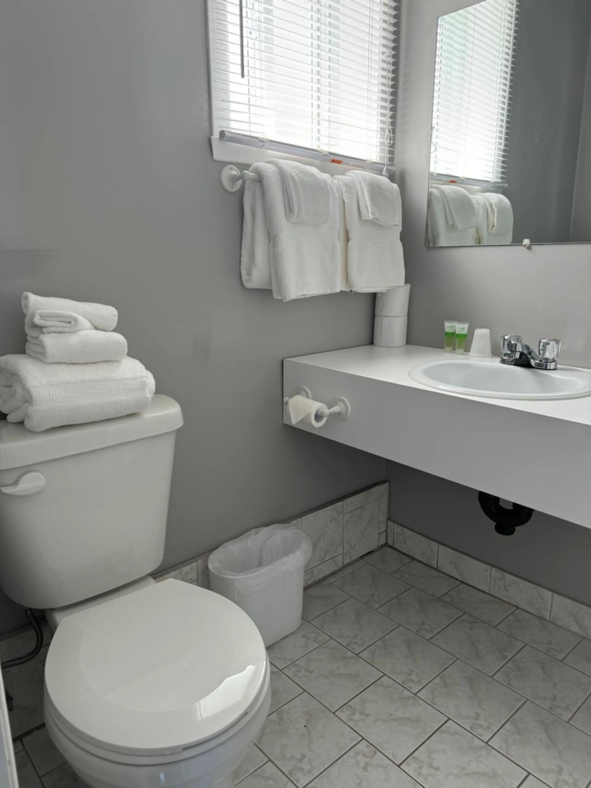 Hotel-Motel Fleur de Lys