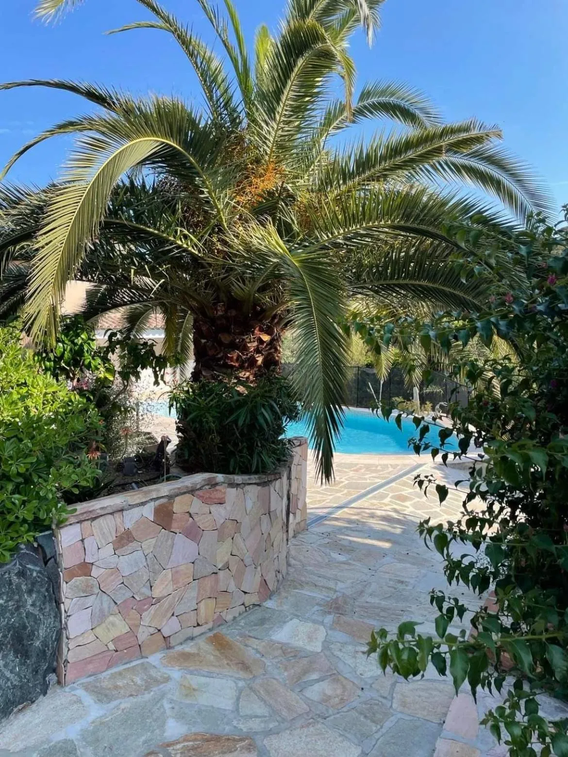 Swimming pool in Maxima Sunset
